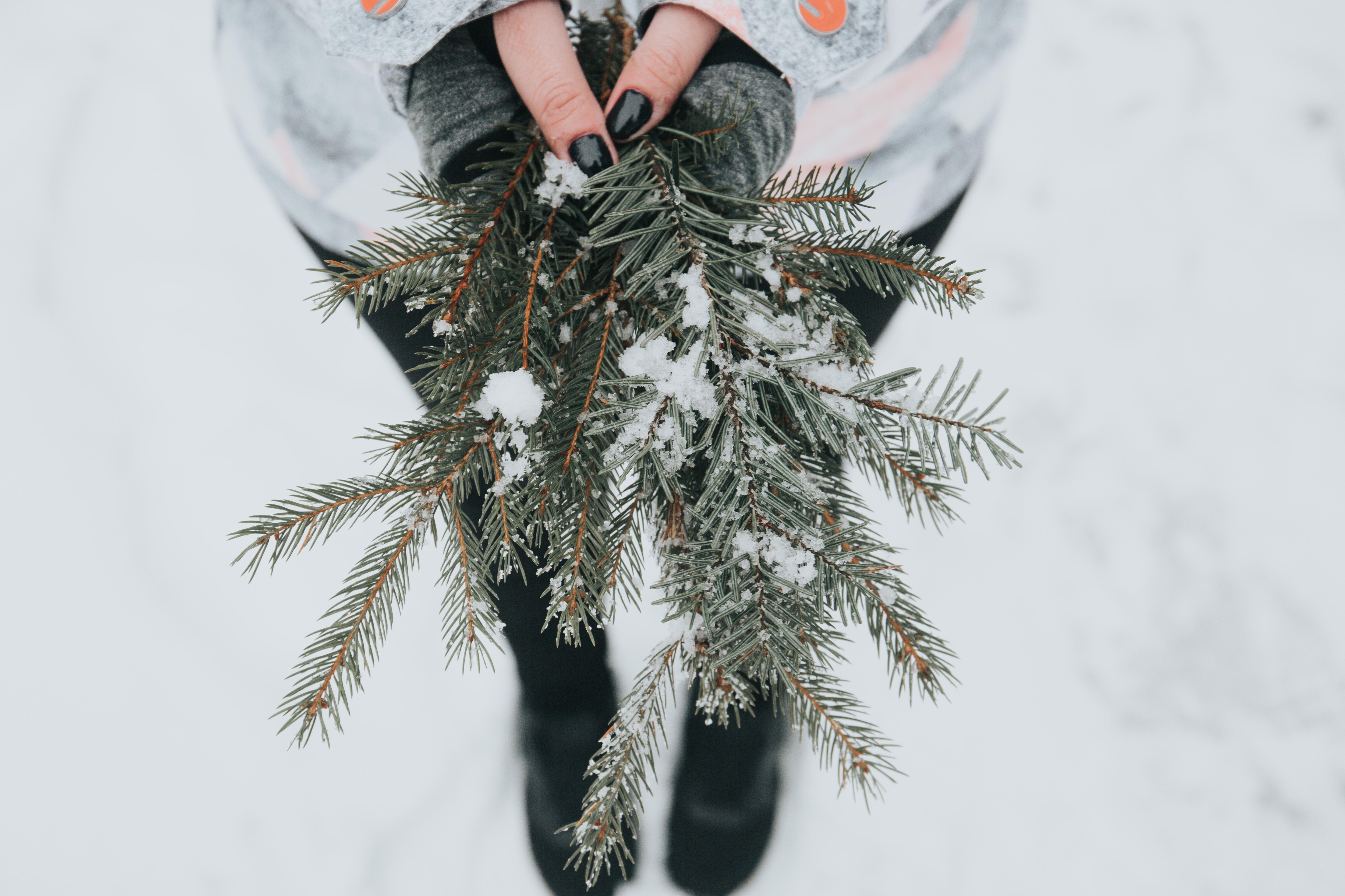 Обои снег, хвоя, девушка, ветки, модель, руки, snow, needles, girl, branches, model, hands разрешение 5760x3840 Загрузить