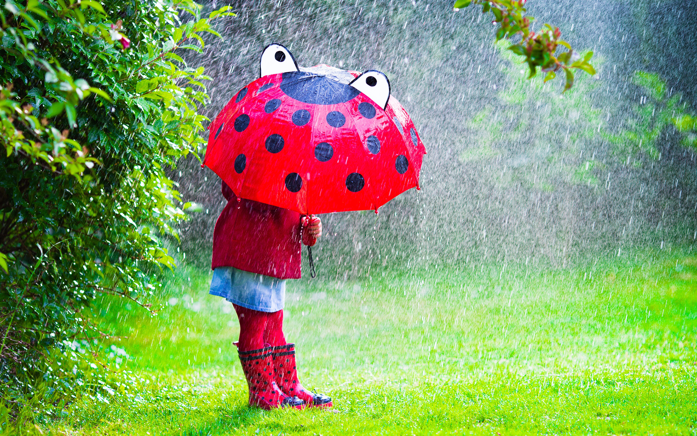 Обои трава, ветки, дети, девочка, дождь, зонт, ребенок, grass, branches, children, girl, rain, umbrella, child разрешение 2880x1800 Загрузить