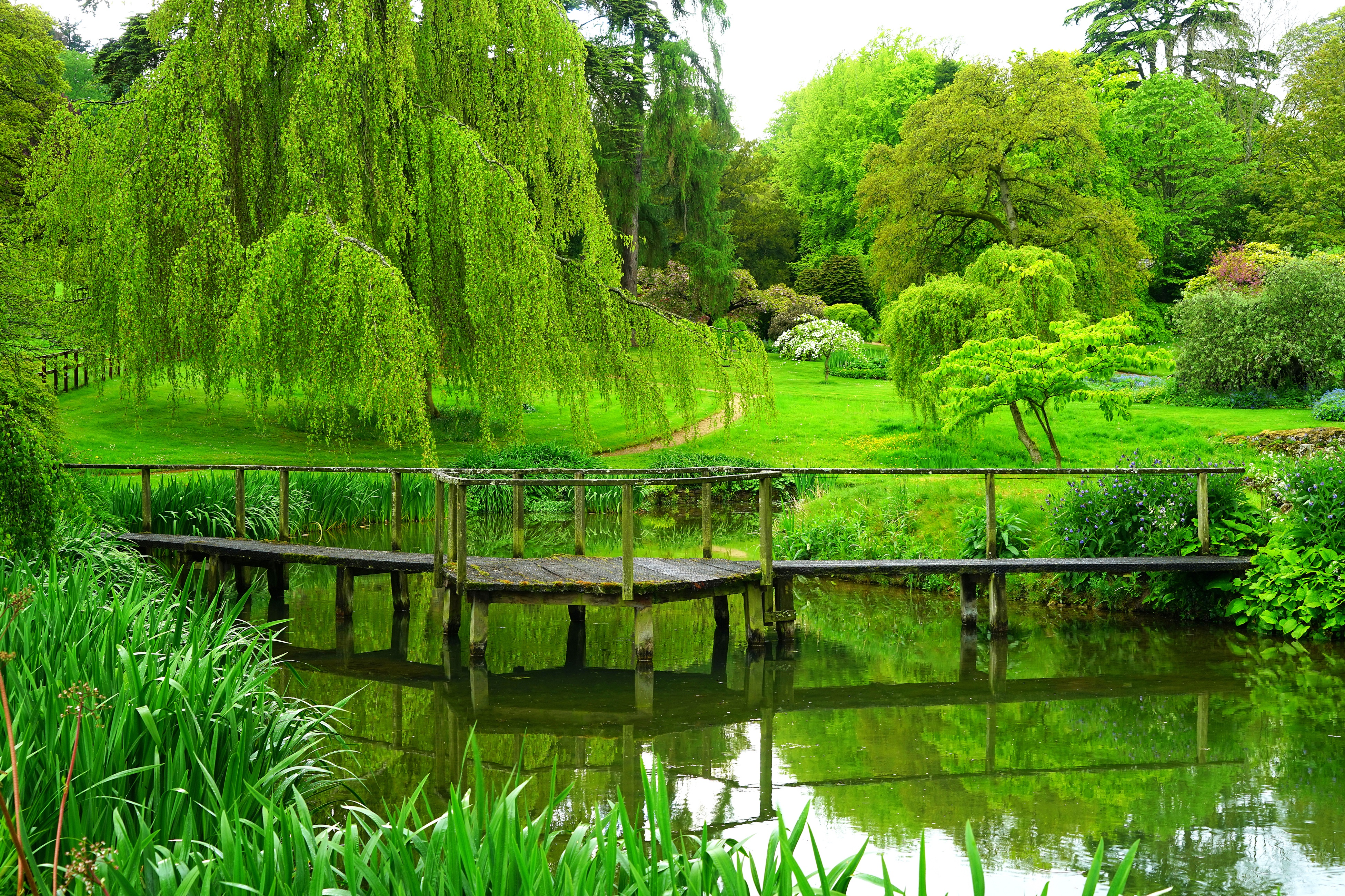 Обои деревья, река, мостик, парк, лето, англия, trees, river, the bridge, park, summer, england разрешение 3900x2600 Загрузить