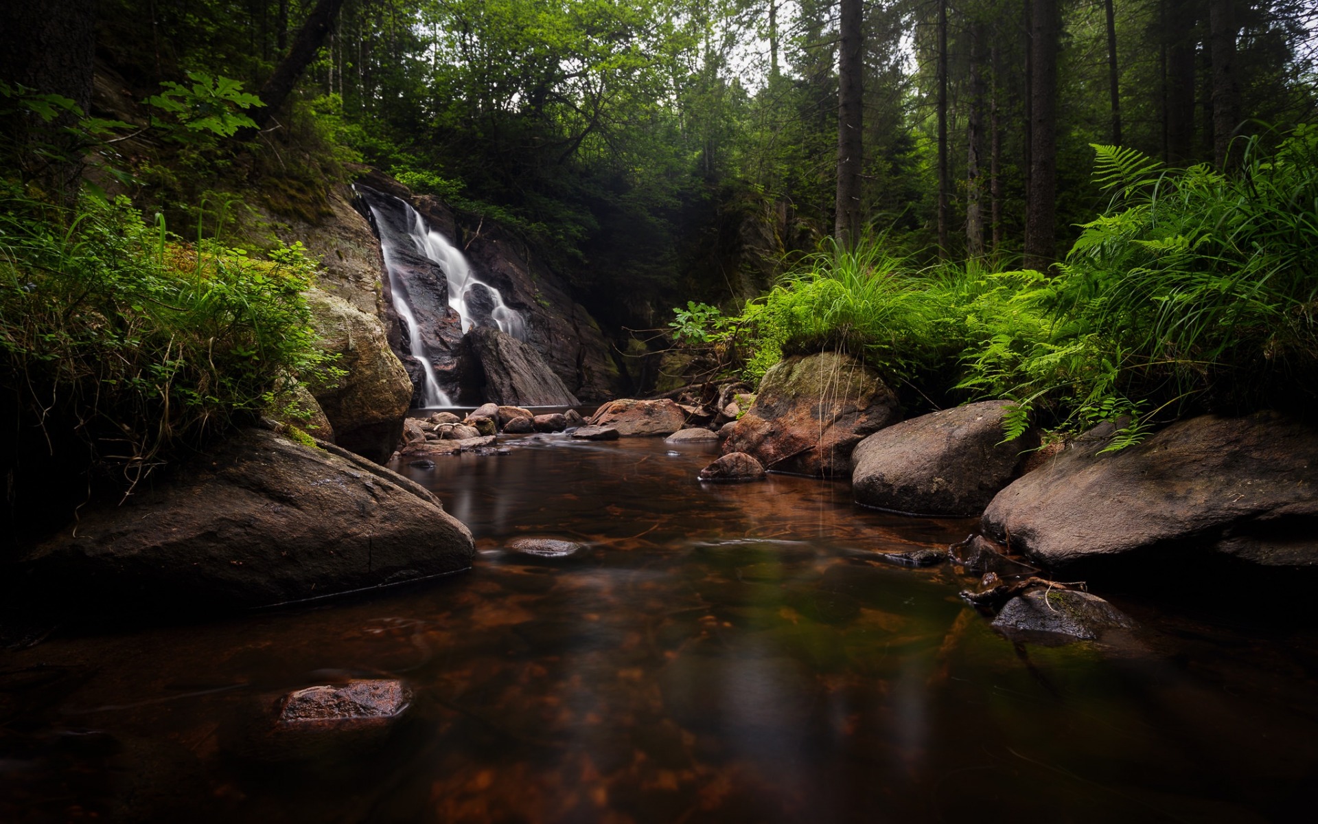 Обои деревья, озеро, камни, лес, ручей, водопад, речка, trees, lake, stones, forest, stream, waterfall, river разрешение 1920x1200 Загрузить