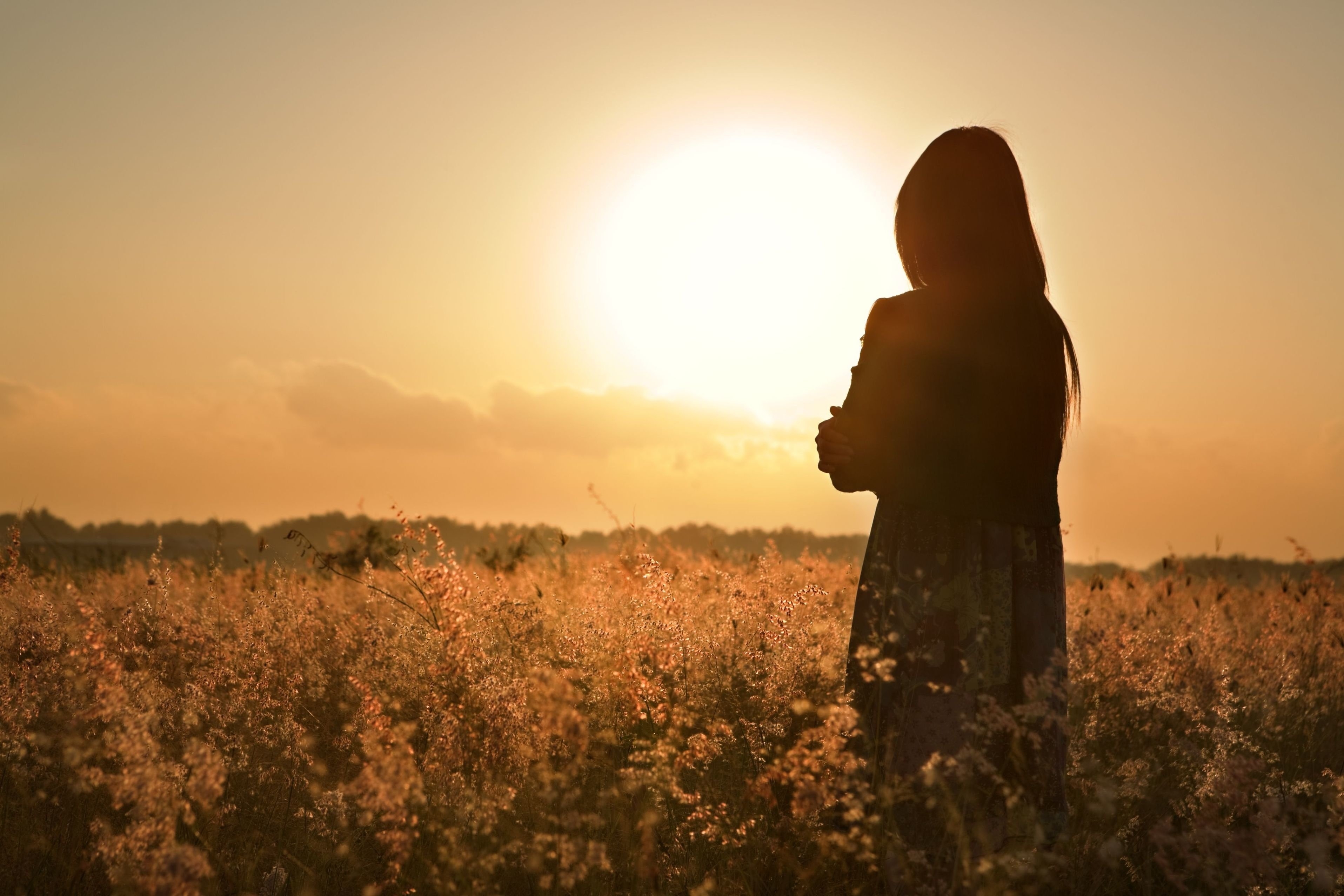 Обои девушка, настроение, поле, закат солнца, волосы, вид сзади, girl, mood, field, sunset, hair, rear view разрешение 3831x2554 Загрузить