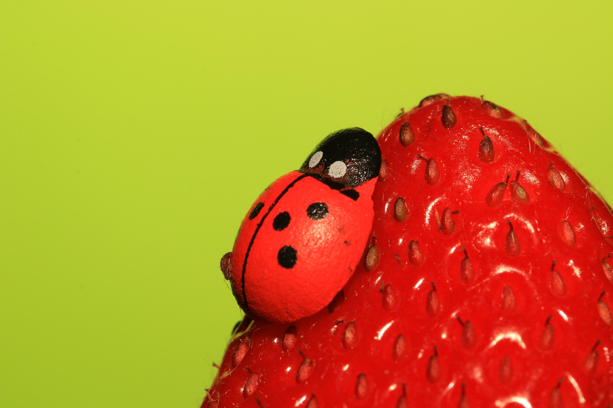 Обои насекомое, ягода, клубника, божья коровка, insect, berry, strawberry, ladybug разрешение 2048x1365 Загрузить