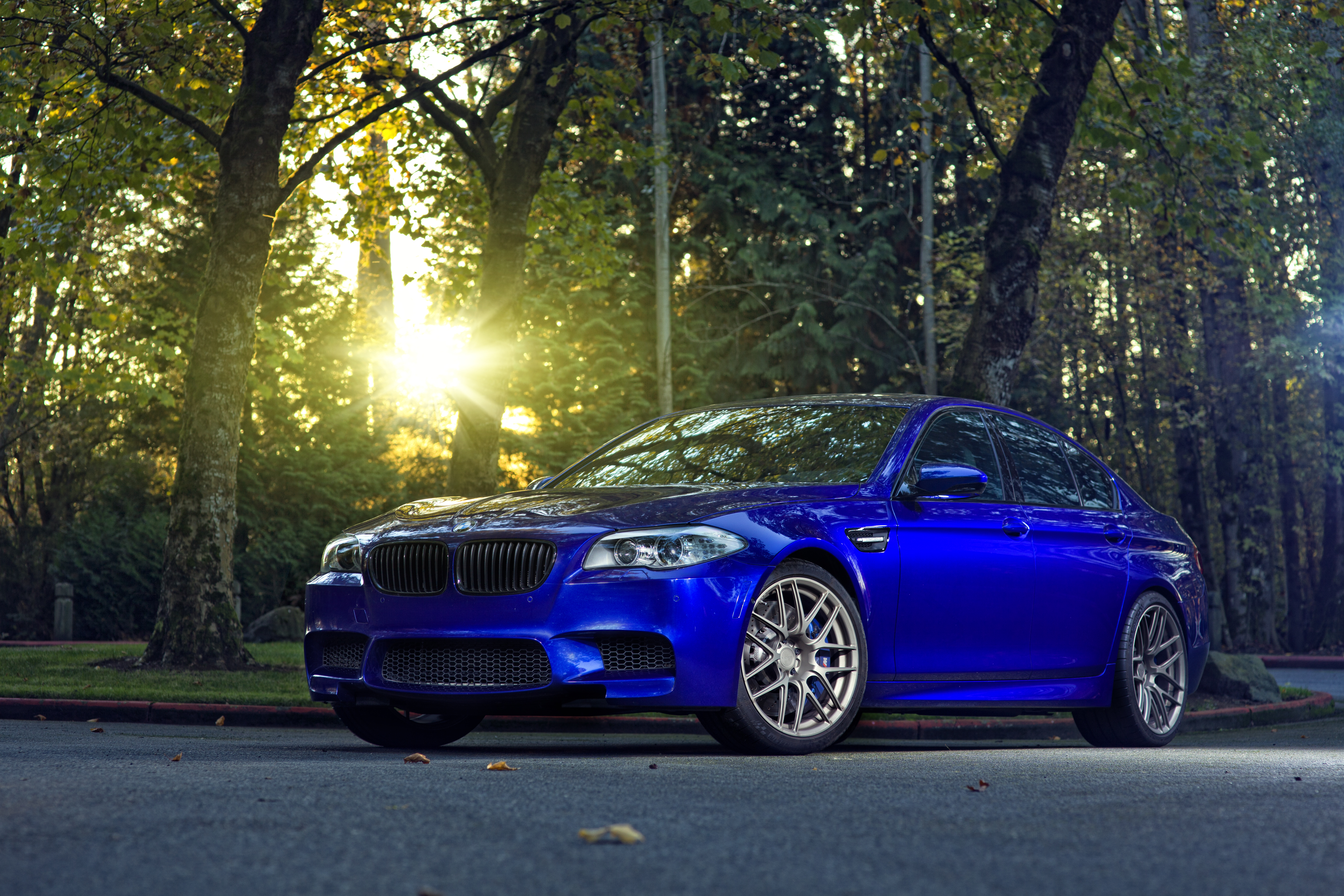 Обои 10 5 м. БМВ m5 f10. BMW m5 f10 Monte Carlo Blue. БМВ m5 синяя. BMW m5 f10 Blue.