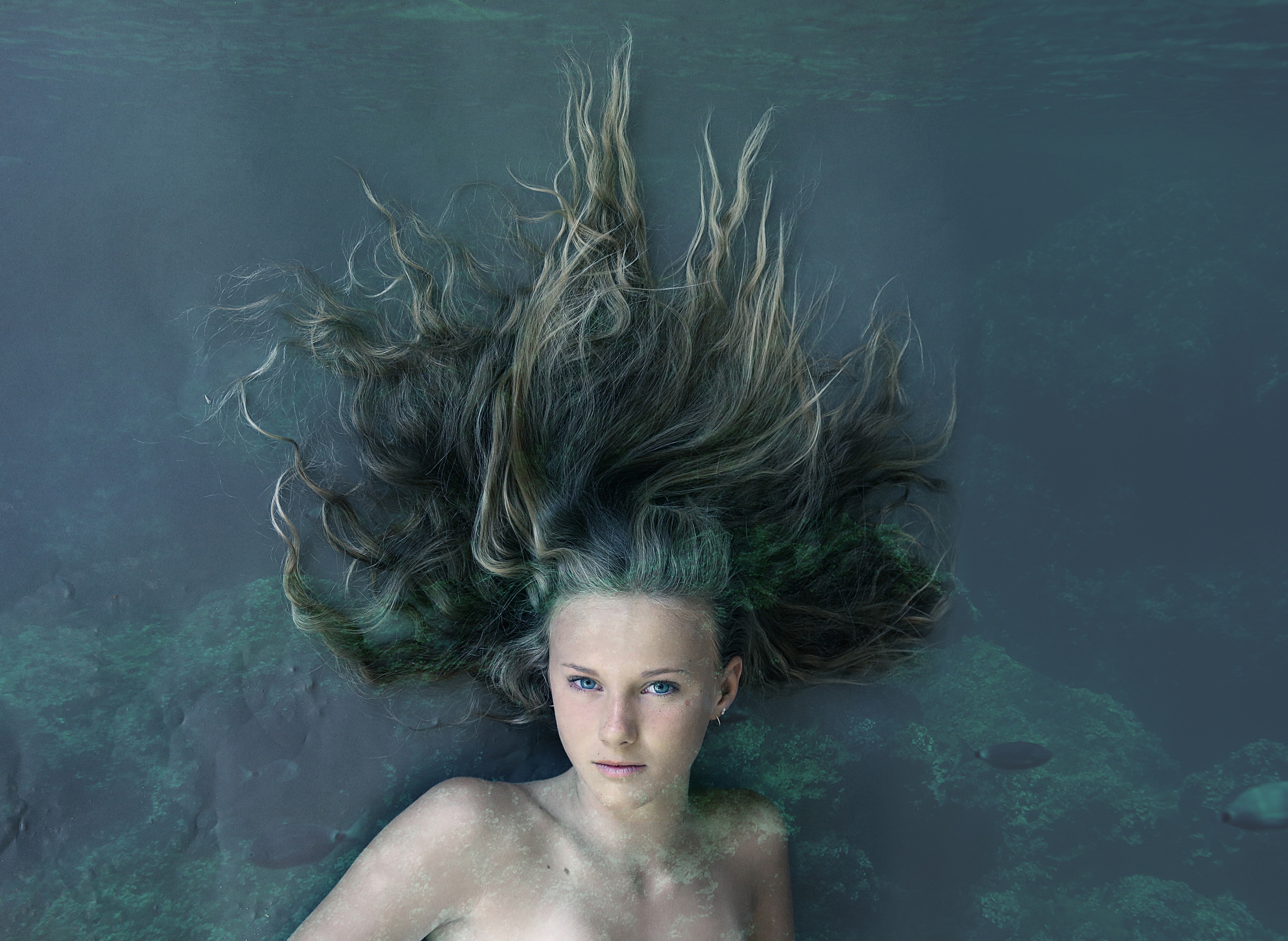 Обои вода, девушка, взгляд, волосы, лицо, русалка, water, girl, look, hair, face, mermaid разрешение 2500x1827 Загрузить