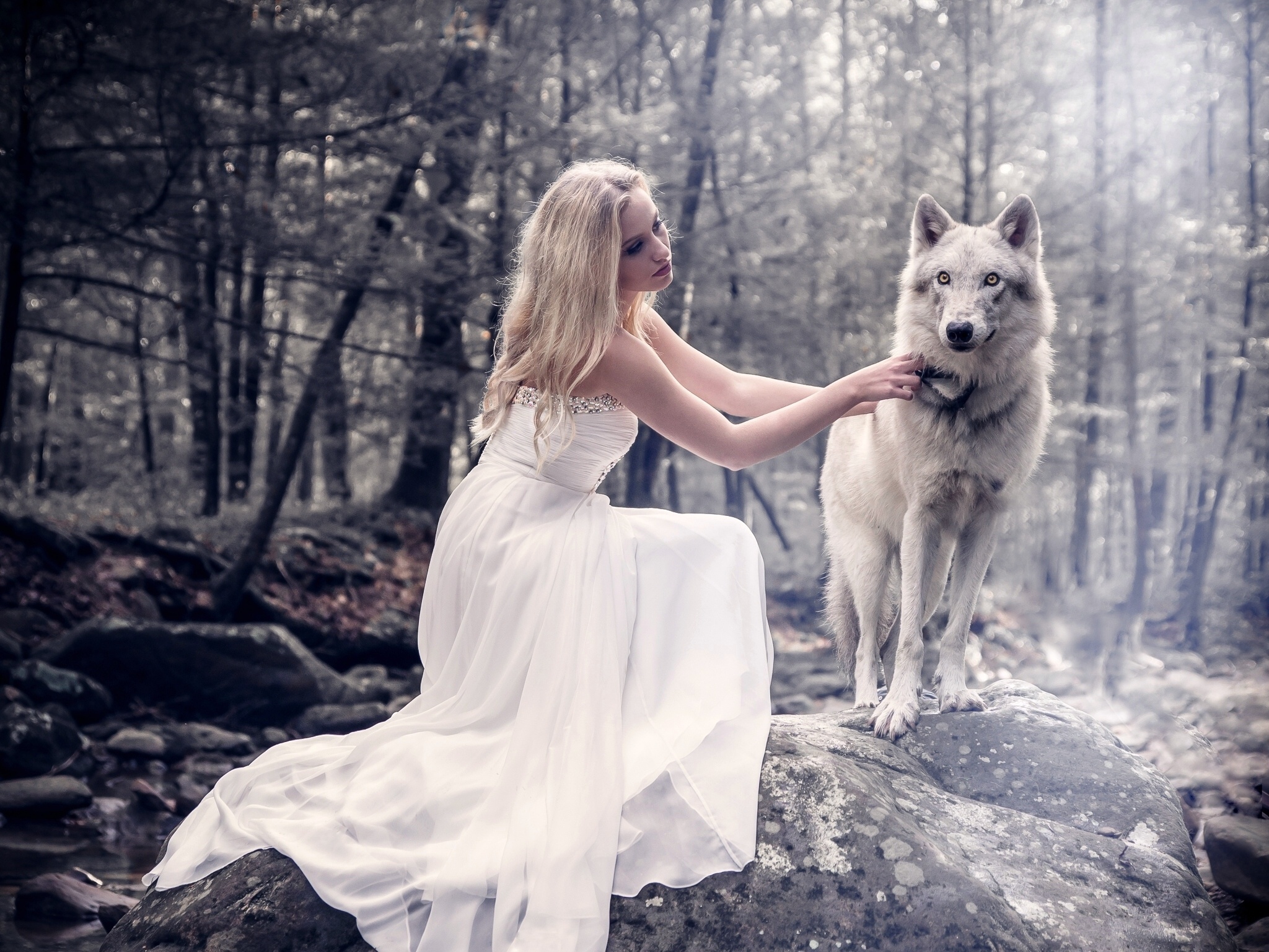 Блондинка и волк