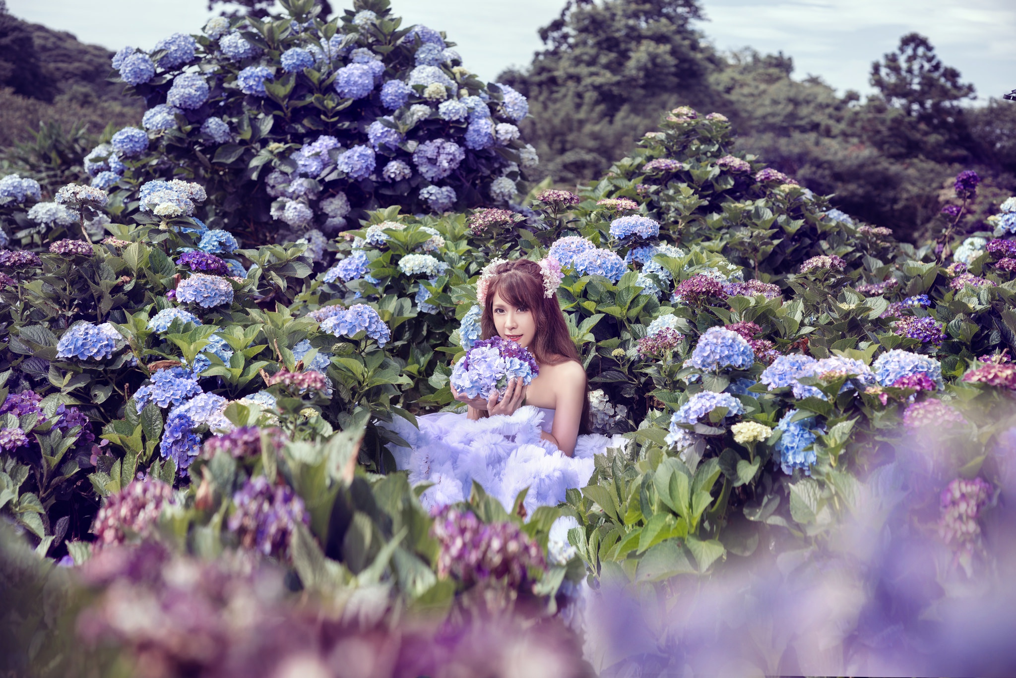 Обои цветы, девушка, азиатка, гортензия, фотоссесия, flowers, girl, asian, hydrangea разрешение 2048x1367 Загрузить