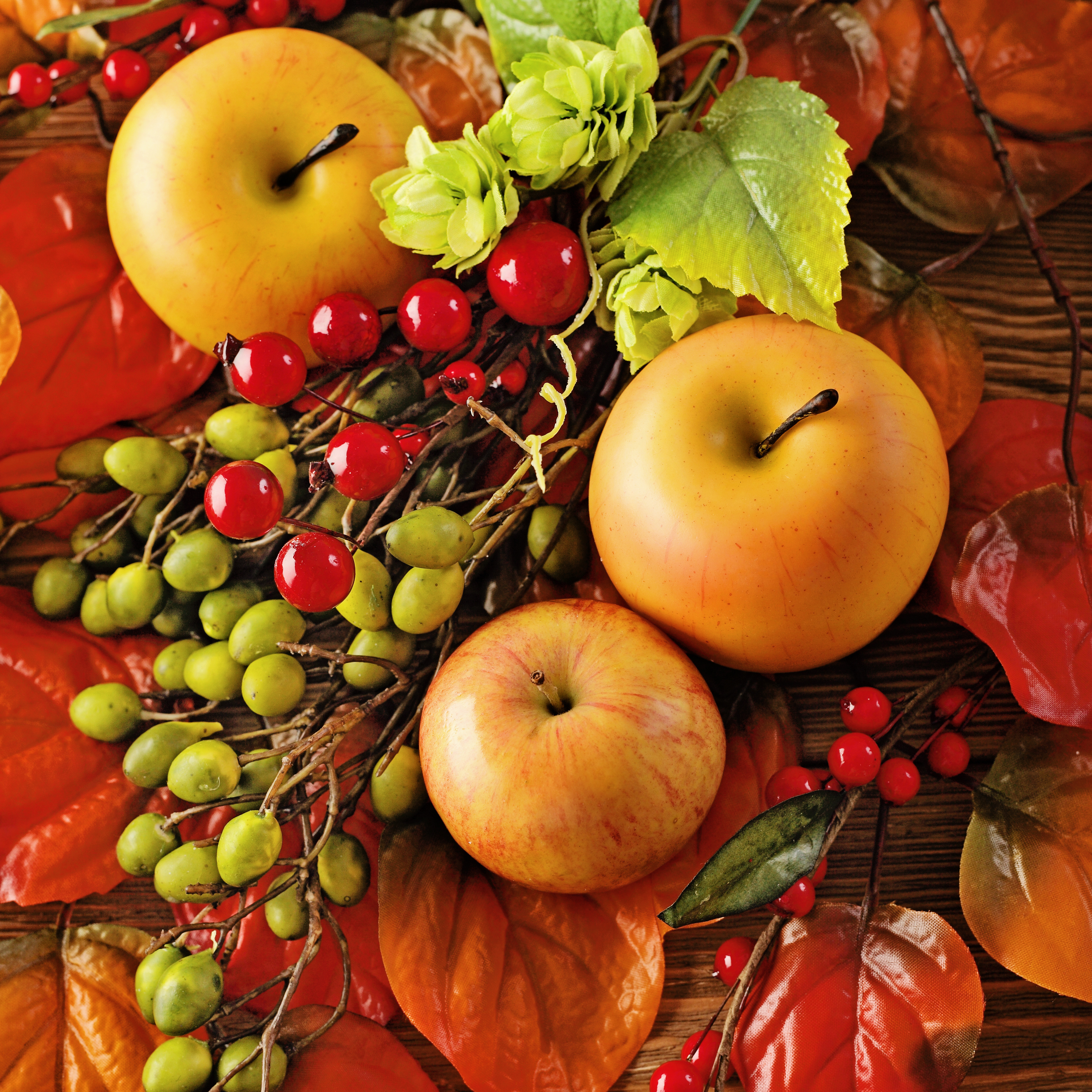 Фруктовый лист. Осенние фрукты. Натюрморт осенний. Осенние яблоки. Плоды осени.