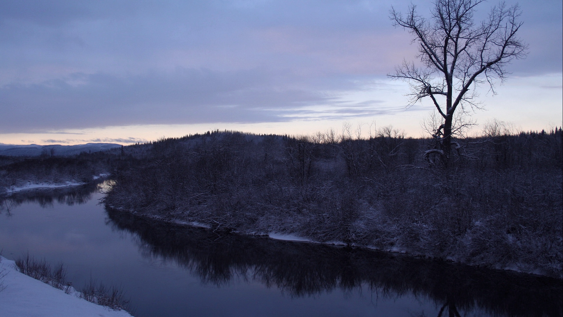 Обои деревья, река, снег, зима, trees, river, snow, winter разрешение 1920x1080 Загрузить