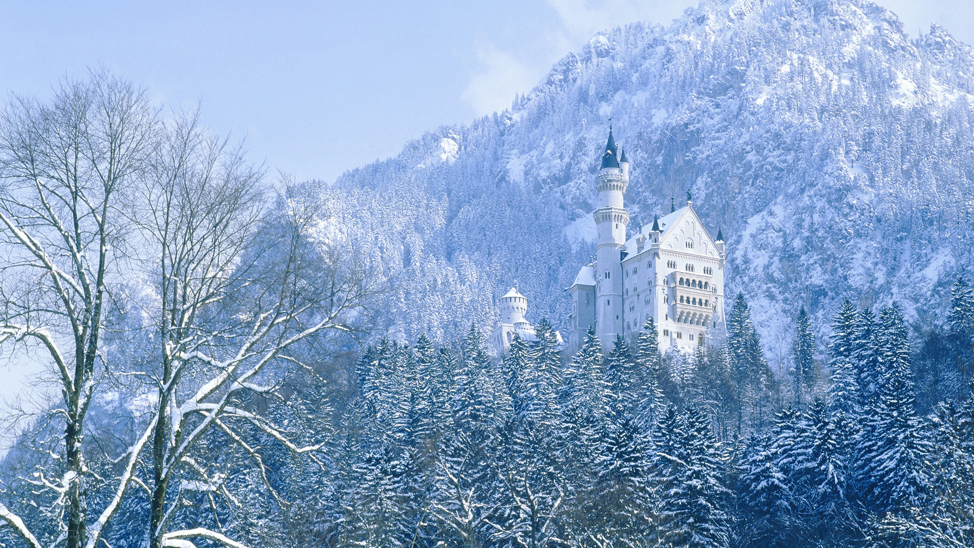 Обои деревья, горы, зима, замок, германия, нойшванштайн, trees, mountains, winter, castle, germany, neuschwanstein разрешение 1920x1080 Загрузить