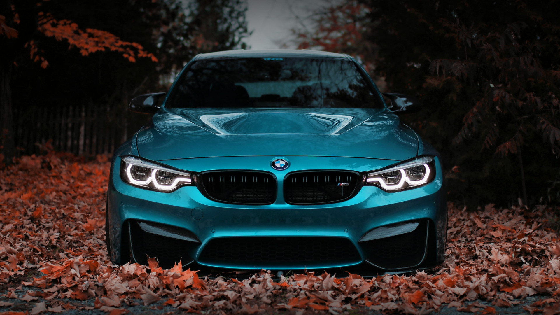 Обои листва, забор, авто, бмв, f80, foliage, the fence, auto, bmw разрешение 1920x1080 Загрузить