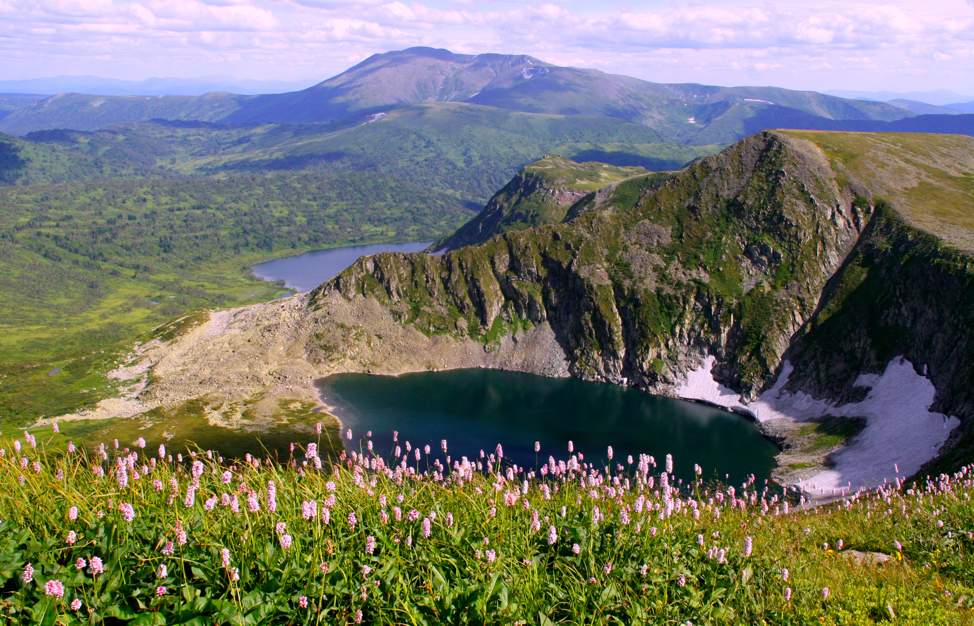 Обои цветы, озеро, горы, flowers, lake, mountains разрешение 1929x1240 Загрузить