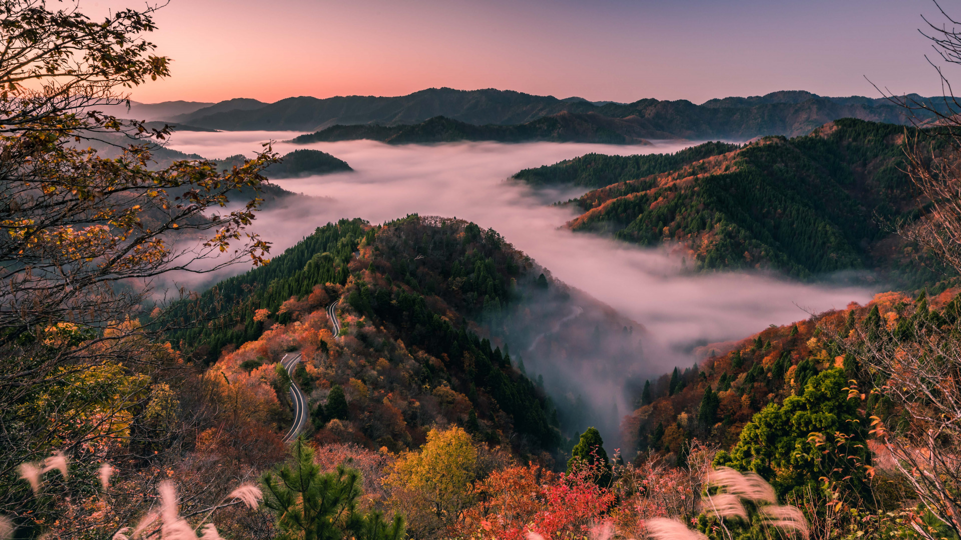 Обои японии, утренний туман, shiga prefecture, лесистые холмы, japan, morning mist, wooded hills разрешение 1920x1080 Загрузить