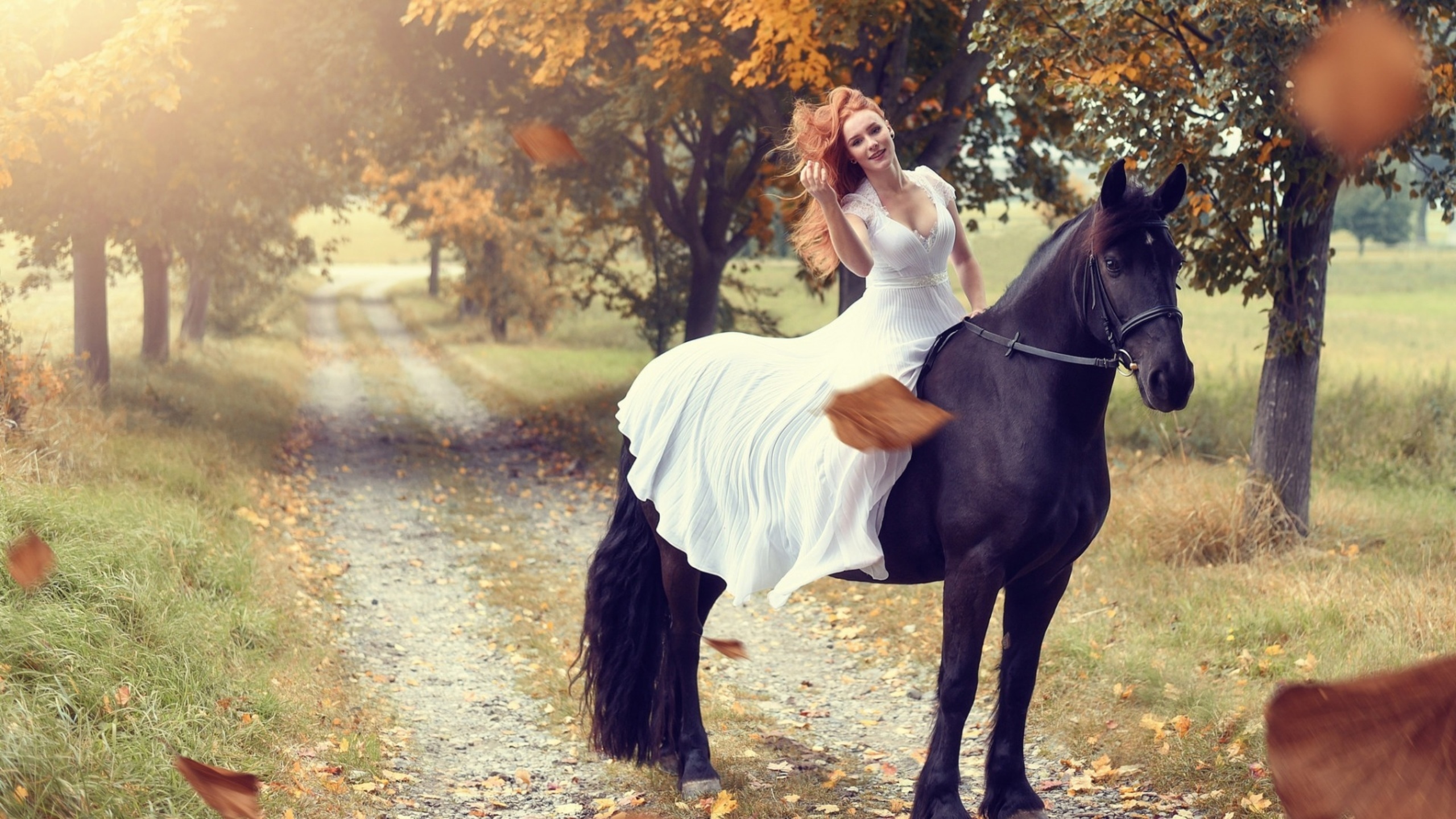 Обои девушка, верхом, на лошади, girl, top, horse разрешение 2560x1440 Загрузить