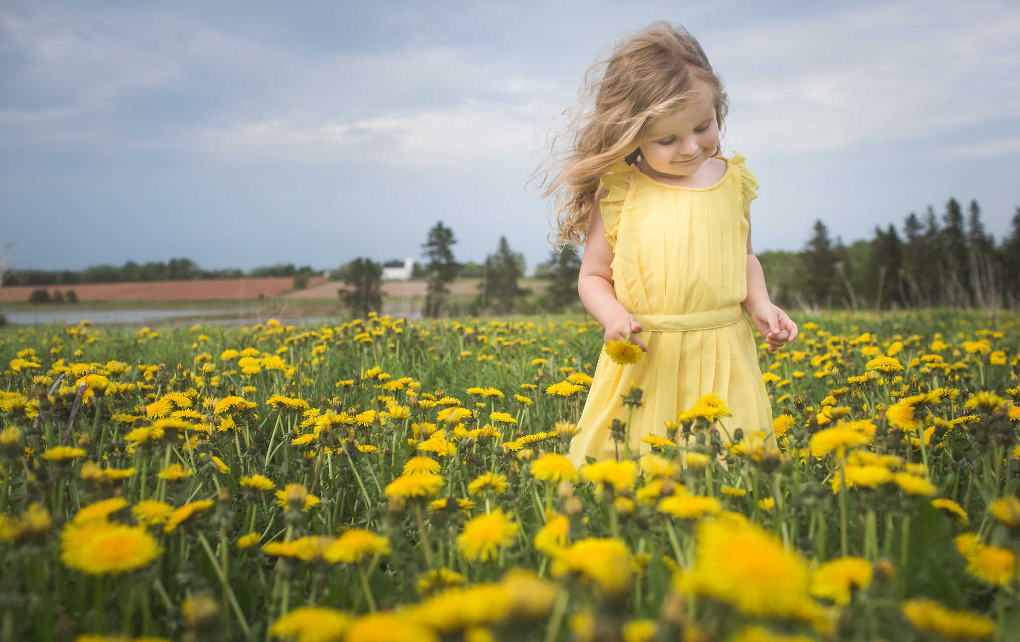 Дети просторов. Девочка в поле. Дети и природа. Девочка на одуванчиковом поле. Фотосессия в одуванчиках.