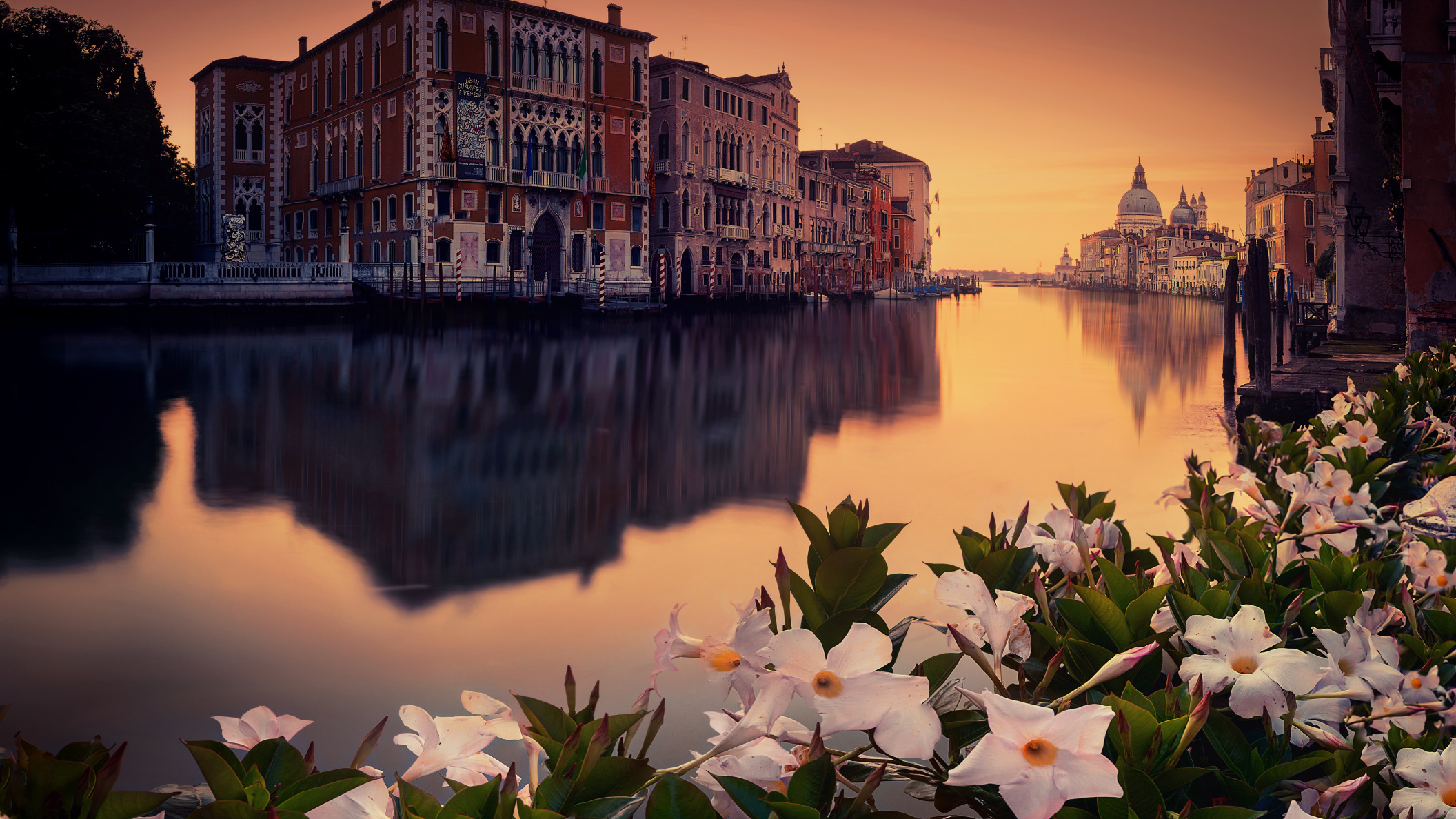 Обои цветы, город, венеция, venecia, flowers, the city, venice разрешение 2112x1188 Загрузить