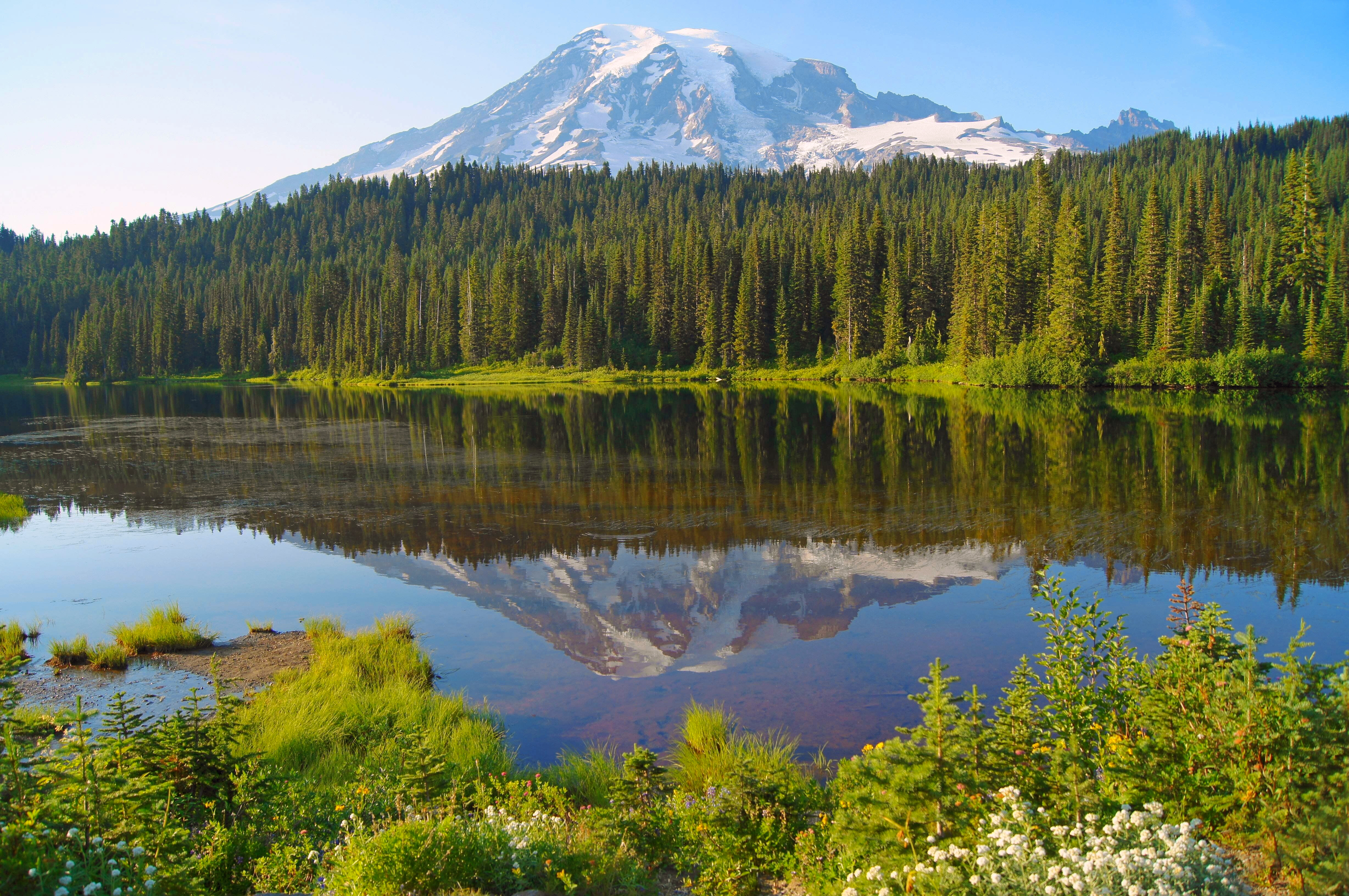 Обои озеро, лес, гора, канада, lake, forest, mountain, canada разрешение 4912x3264 Загрузить