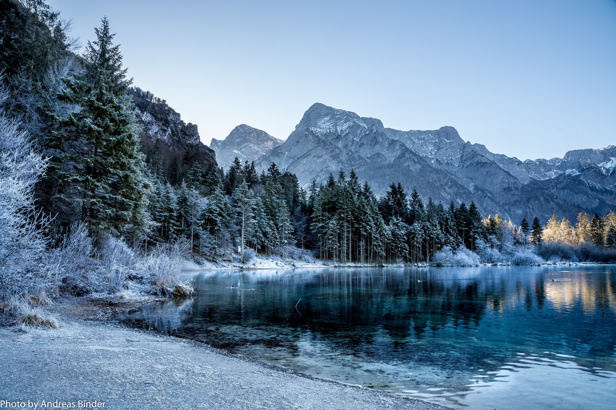 Обои деревья, озеро, горы, зима, ели, trees, lake, mountains, winter, ate разрешение 2048x1365 Загрузить