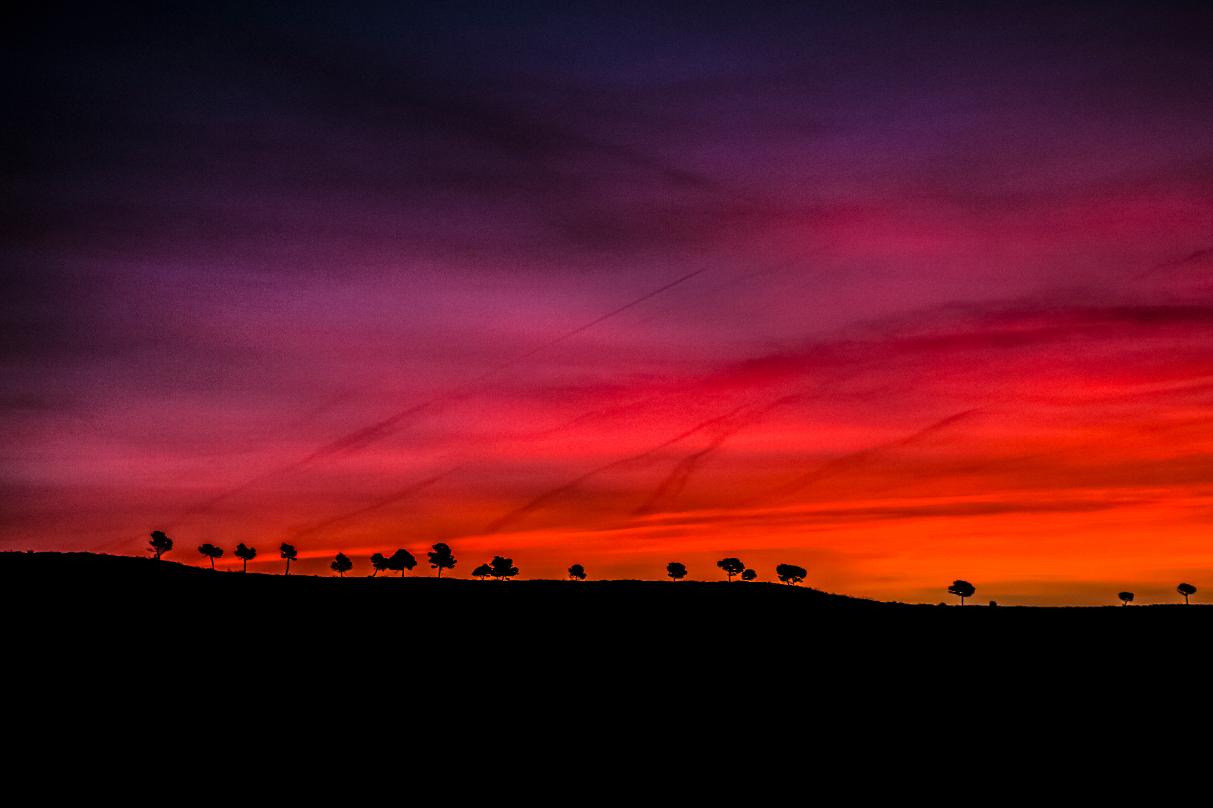 Обои небо, деревья, закат, горизонт, силуэт, the sky, trees, sunset, horizon, silhouette разрешение 4608x3072 Загрузить