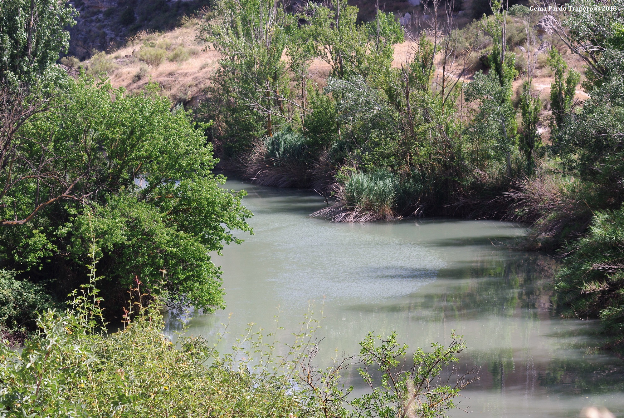 Обои вода, река, природа, отражение, испания, растительность, water, river, nature, reflection, spain, vegetation разрешение 2000x1338 Загрузить