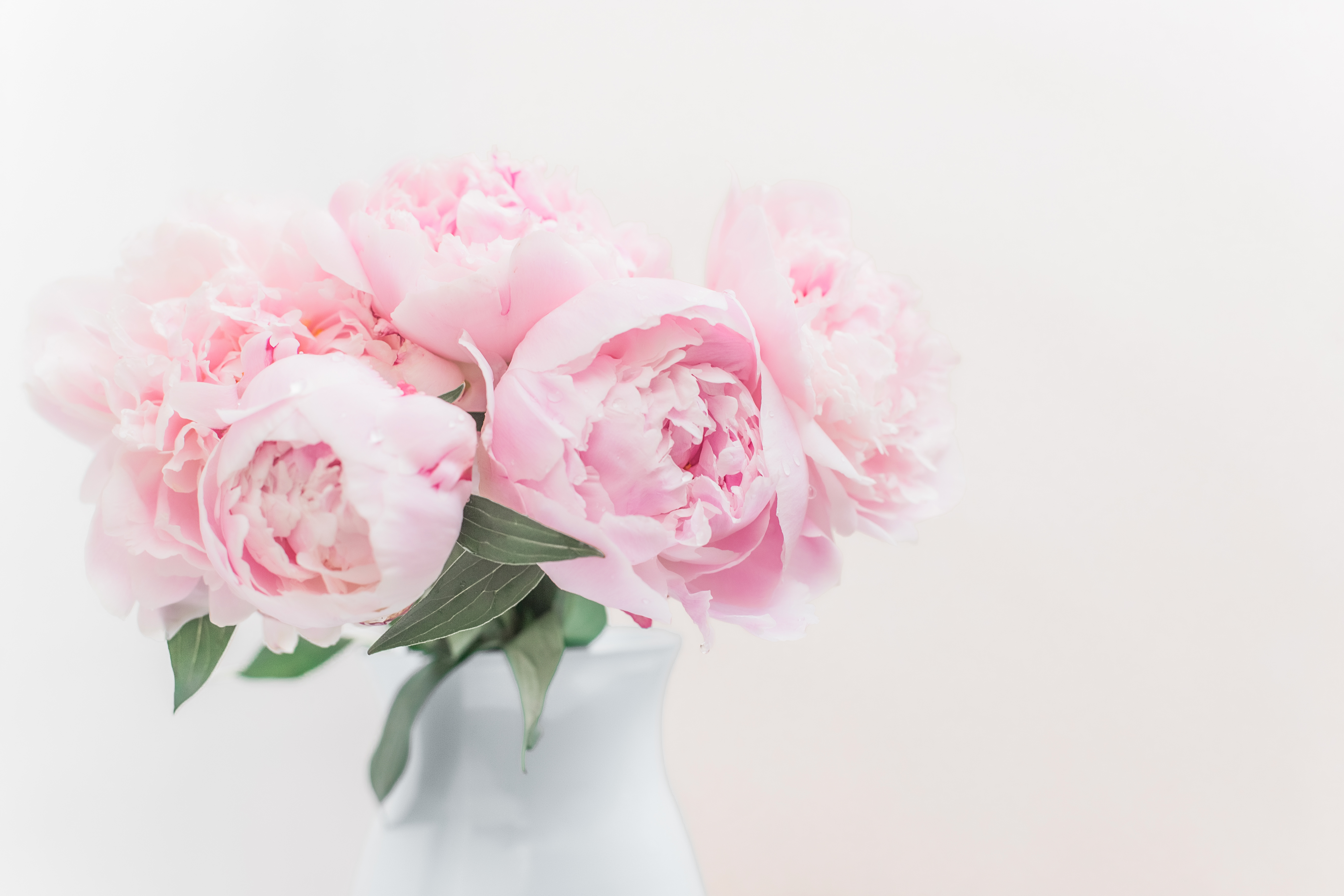 Обои букет, розовые, пионы, bouquet, pink, peonies разрешение 5472x3648 Загрузить