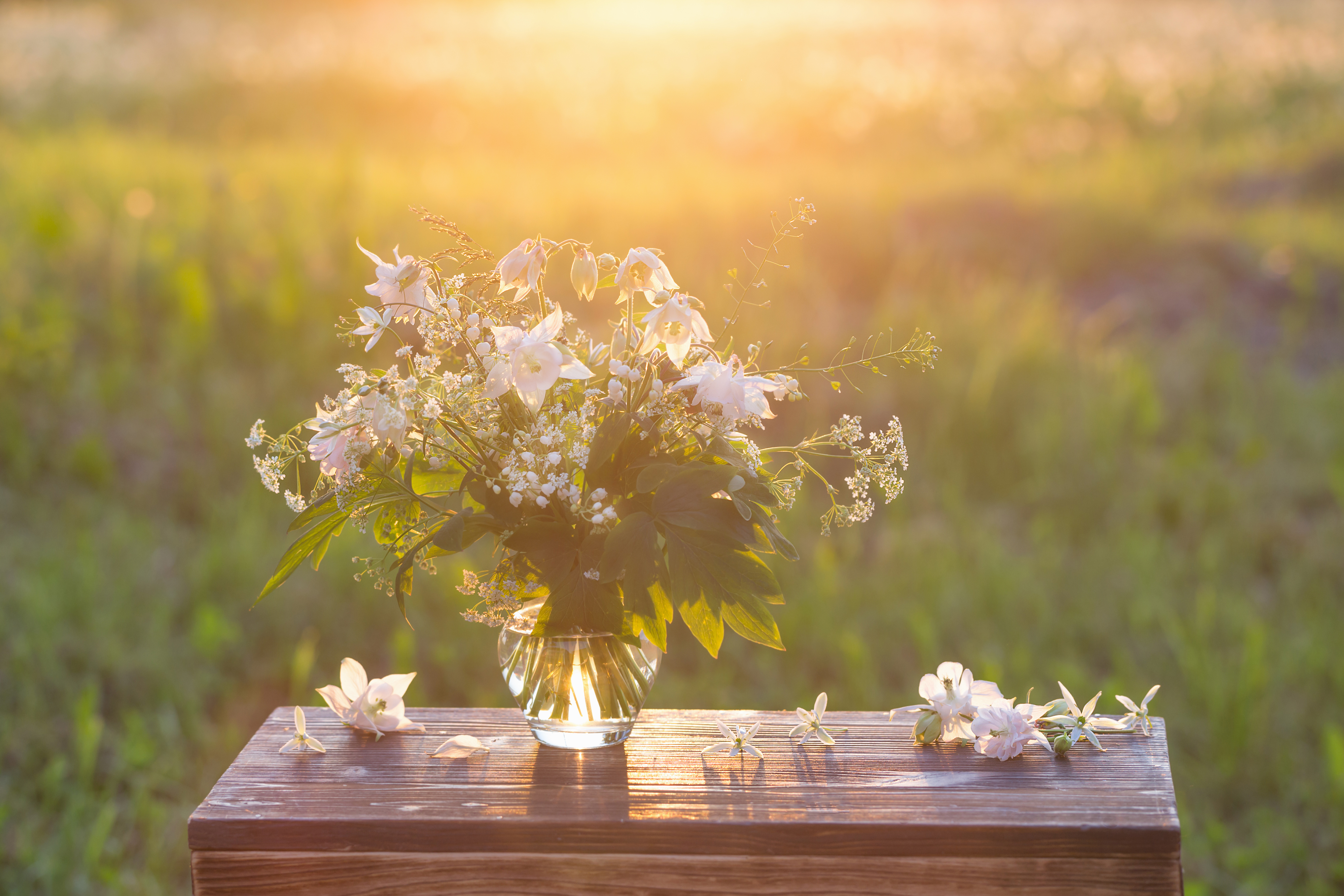 Обои цветы, природа, фон, стол, букет, ваза, flowers, nature, background, table, bouquet, vase разрешение 3994x2663 Загрузить