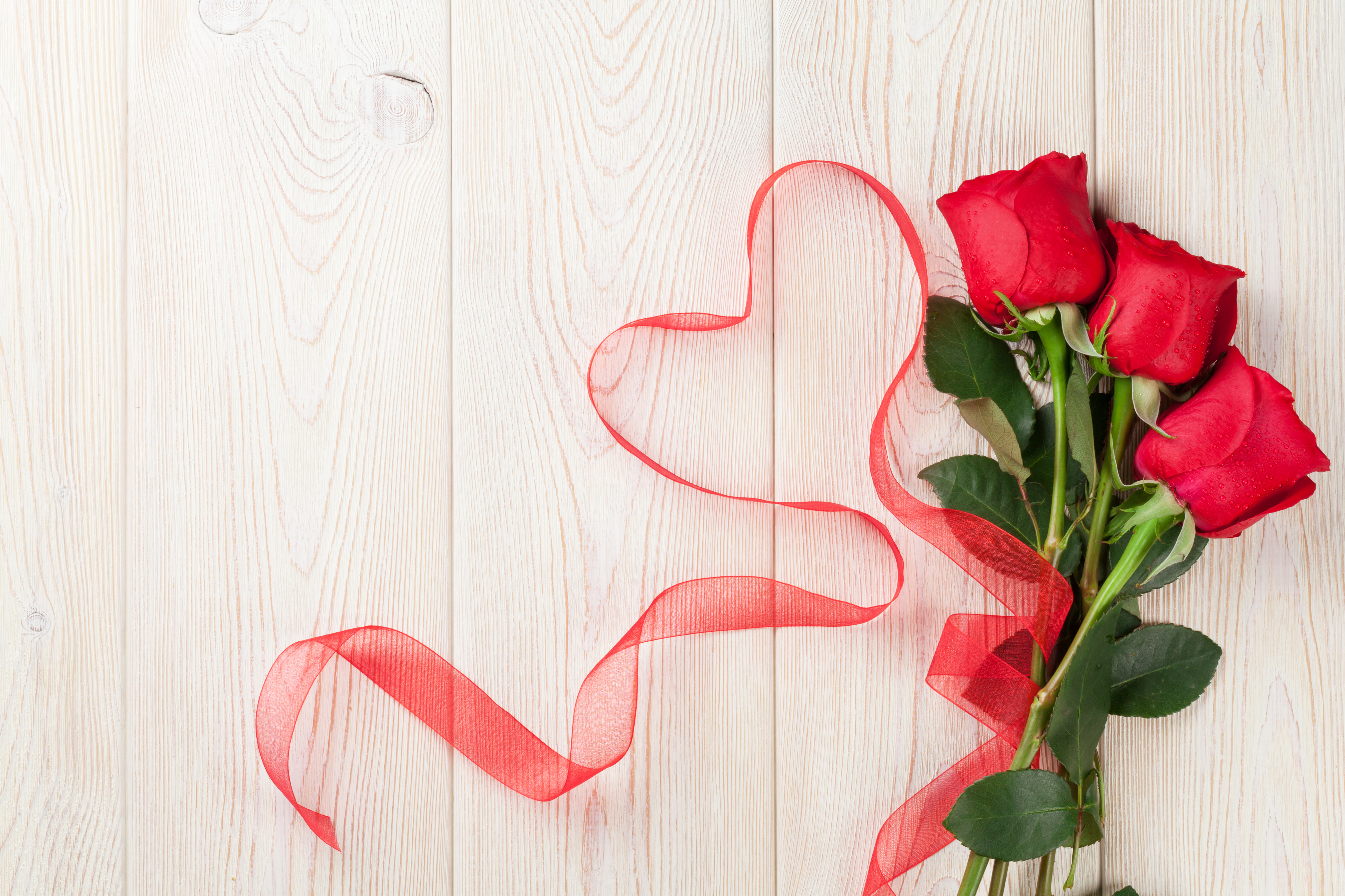 Обои цветы, розы, сердце, любовь, романтика, букет, лента, день святого валентина, flowers, roses, heart, love, romance, bouquet, tape, valentine's day разрешение 5539x3692 Загрузить