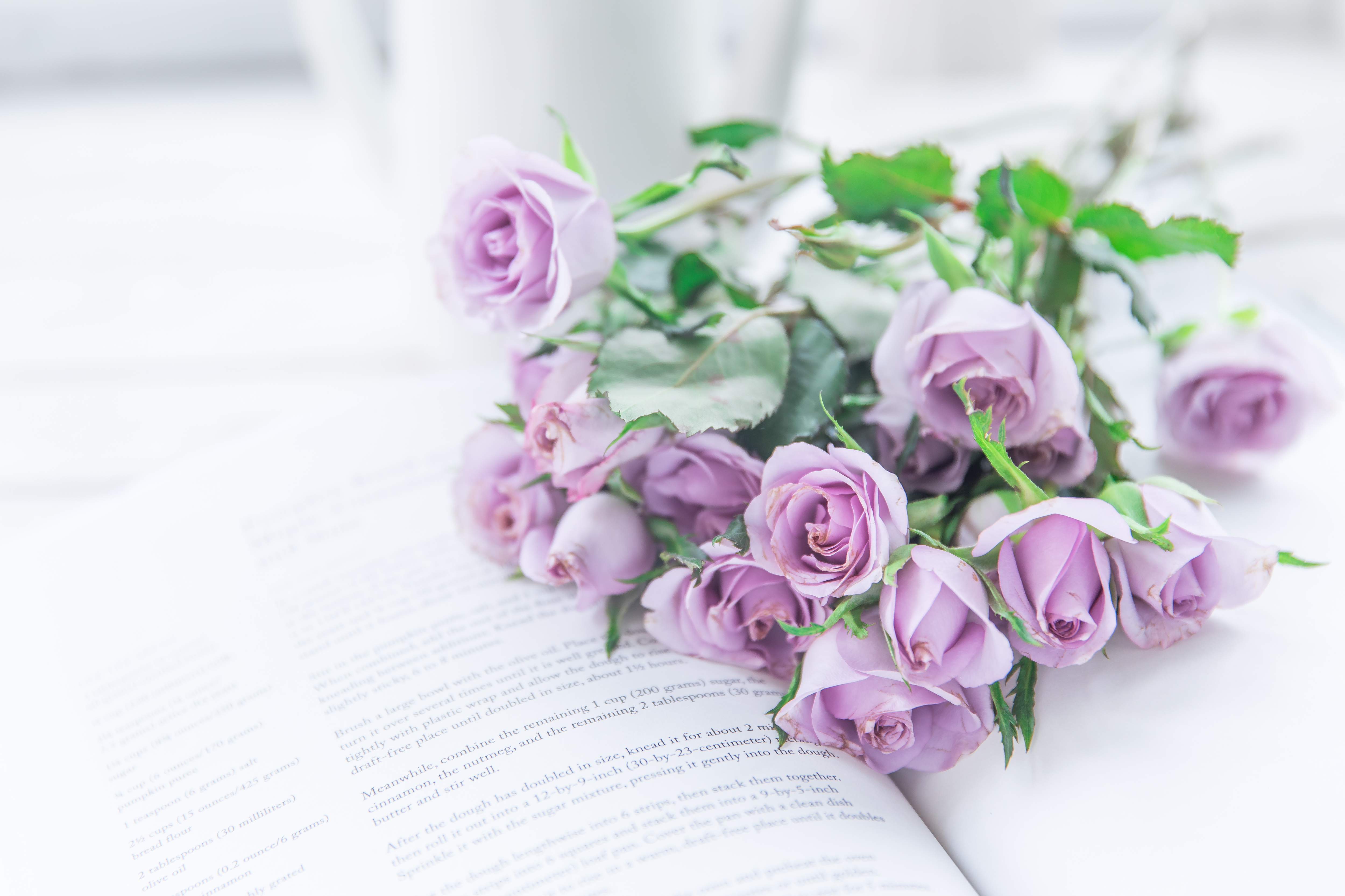Книга и роза на белом фоне