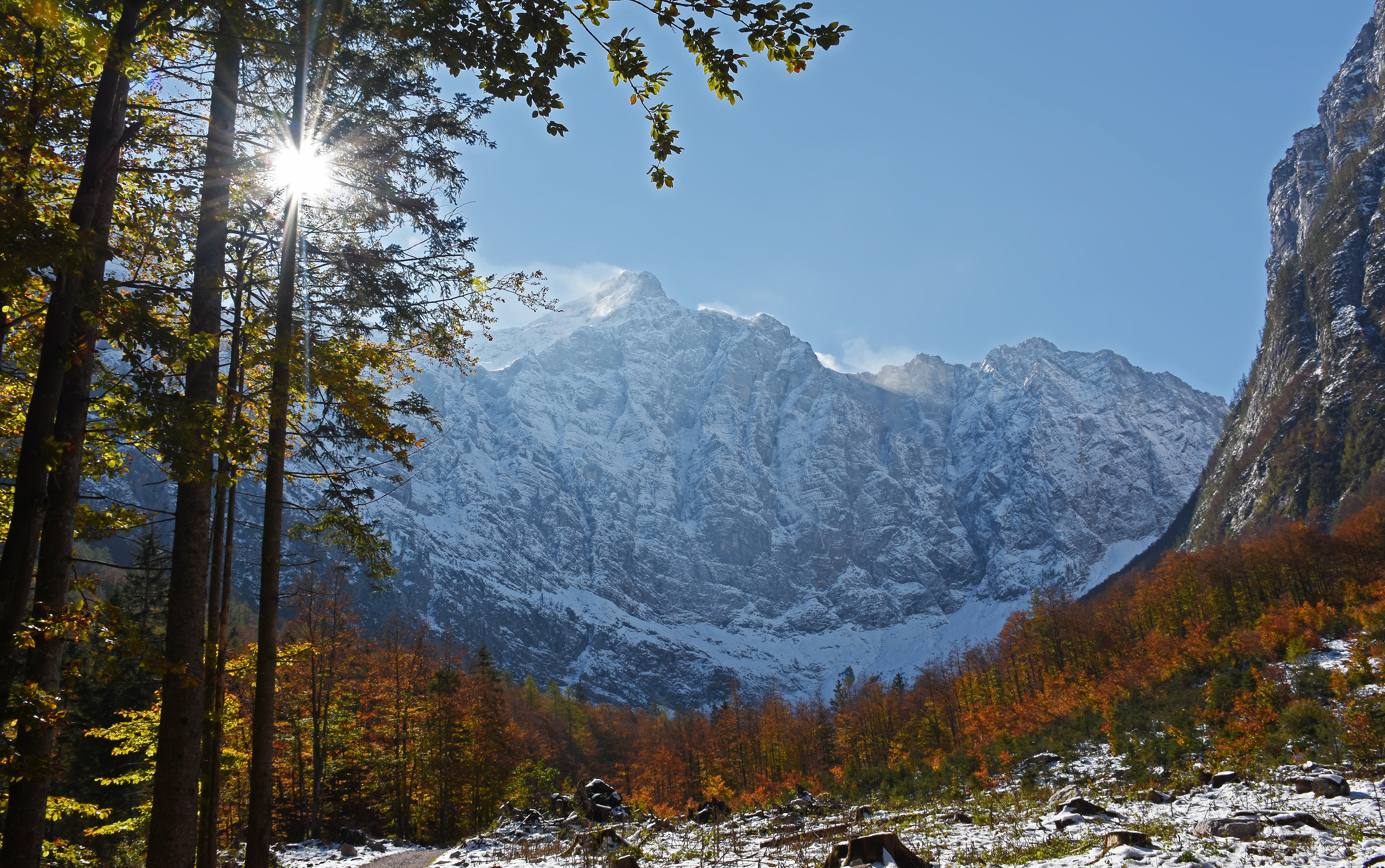 Обои деревья, горы, лес, осень, словения, julian alps, юлийские альпы, trees, mountains, forest, autumn, slovenia, the julian alps разрешение 4800x3008 Загрузить