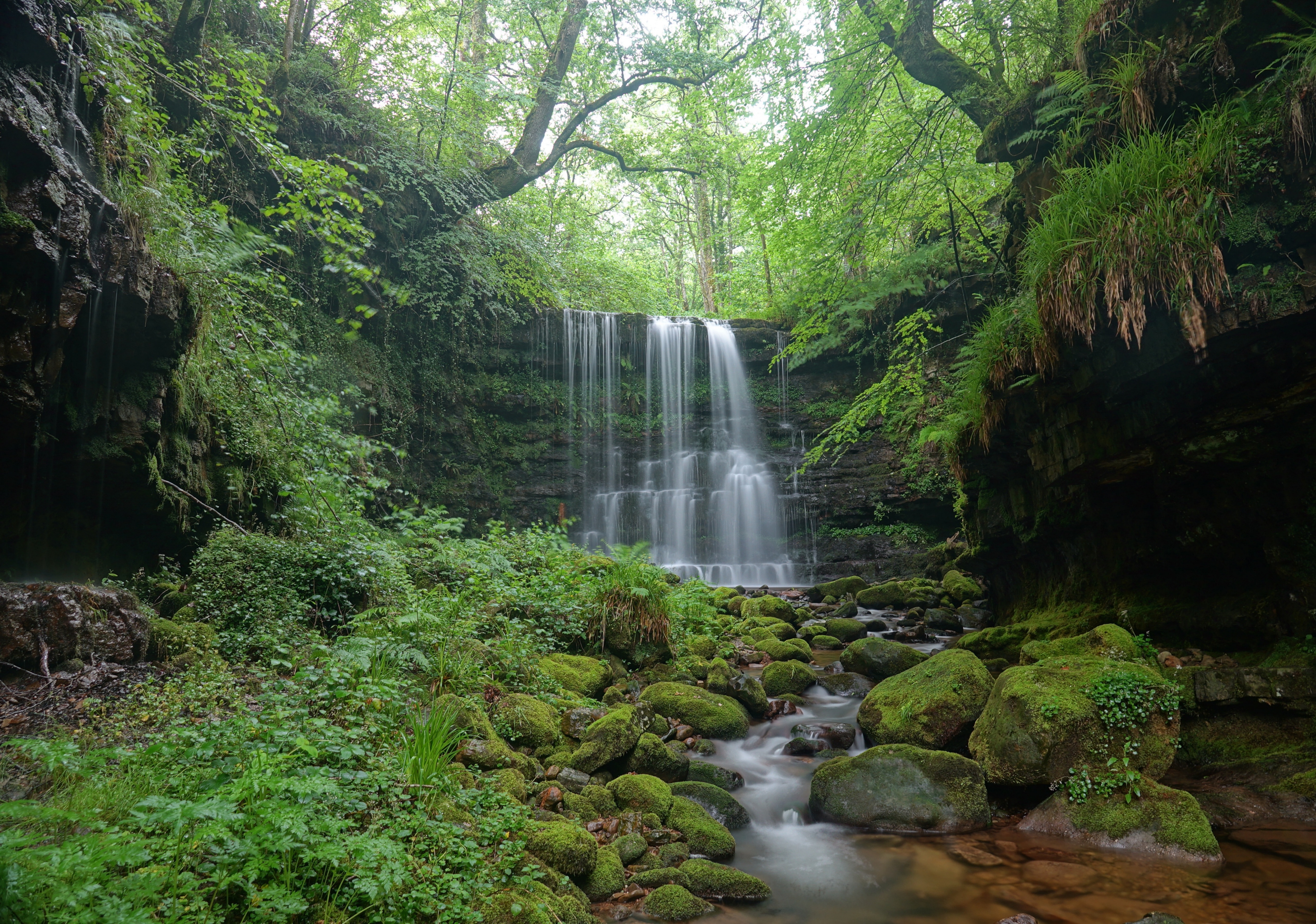 Обои деревья, природа, камни, лес, водопад, trees, nature, stones, forest, waterfall разрешение 5120x3593 Загрузить