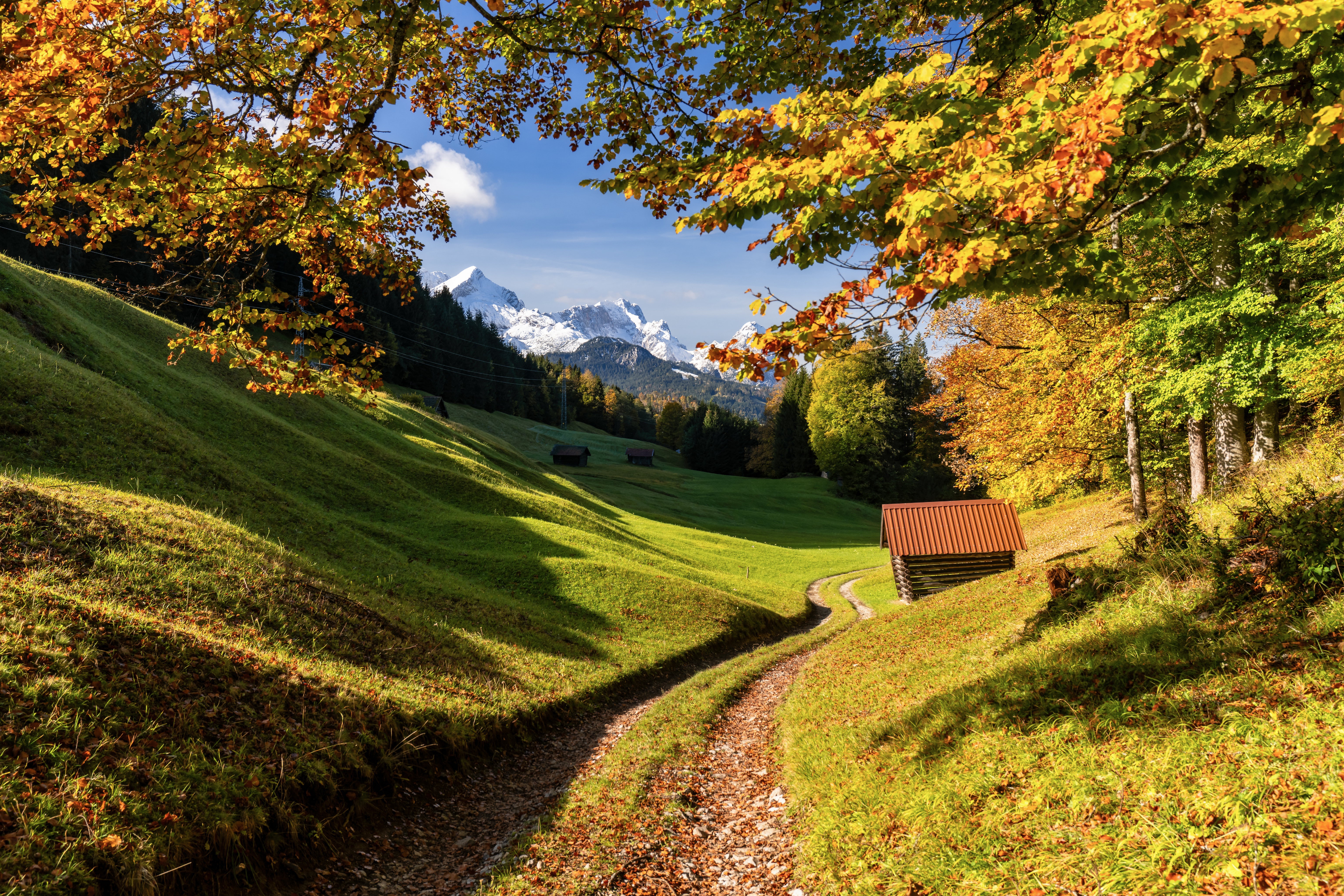 Обои дорога, деревья, горы, лес, осень, германия, бавария, road, trees, mountains, forest, autumn, germany, bayern разрешение 6144x4096 Загрузить