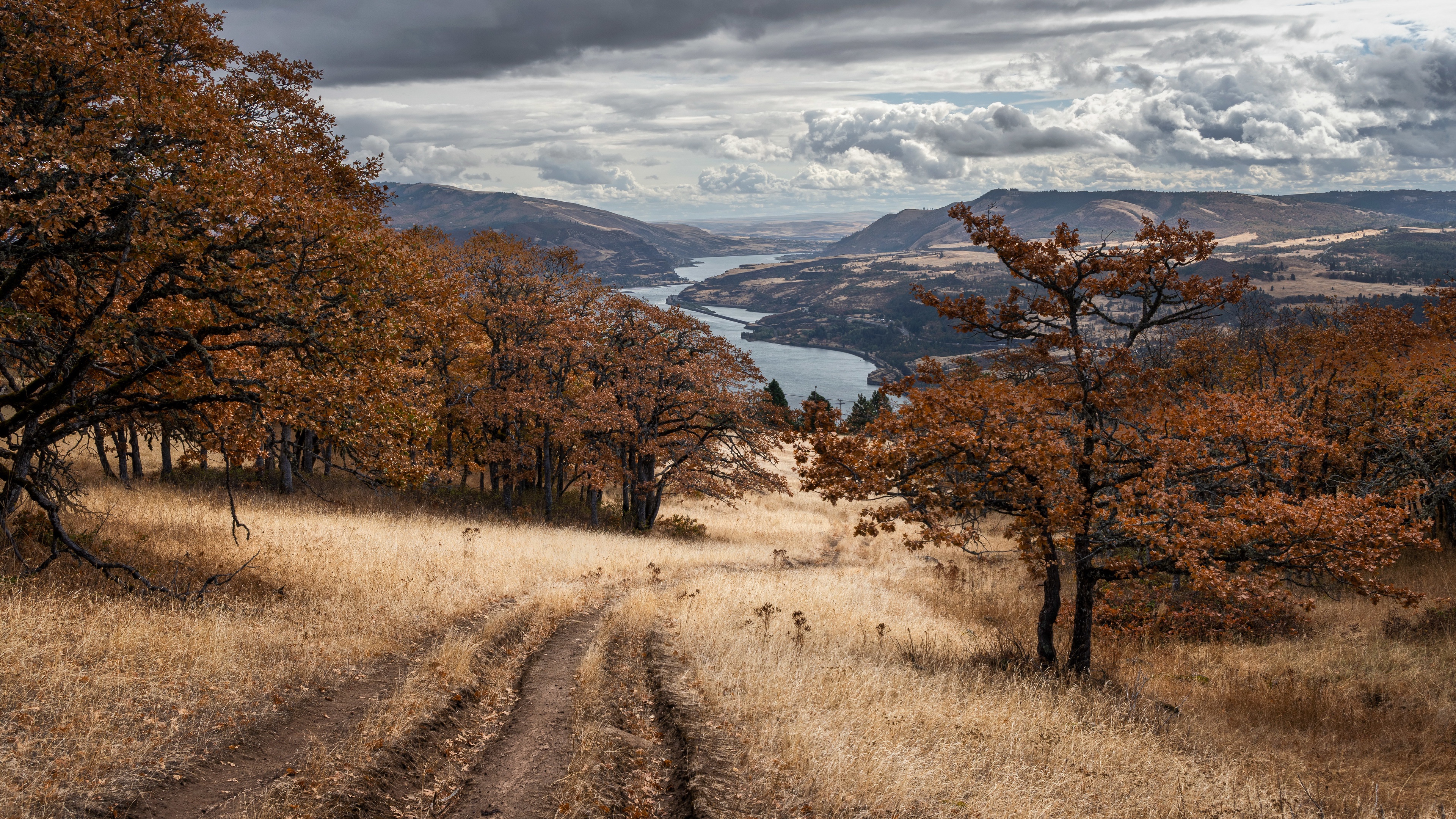 Обои дорога, природа, осень, road, nature, autumn разрешение 3840x2160 Загрузить