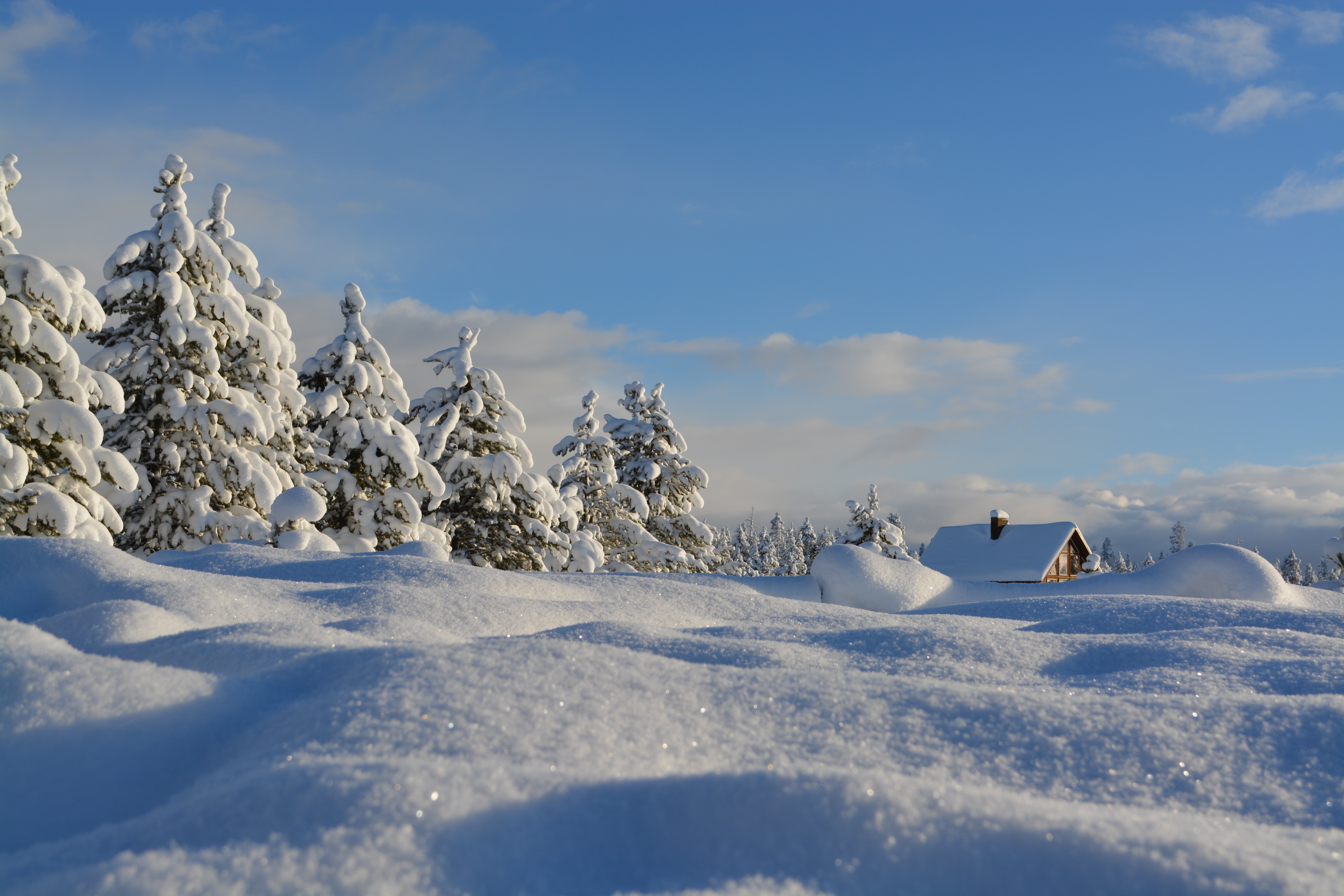 Январские сугробы. Зимний пейзаж. Снежный пейзаж. Зимняя природа. Красивая зима.