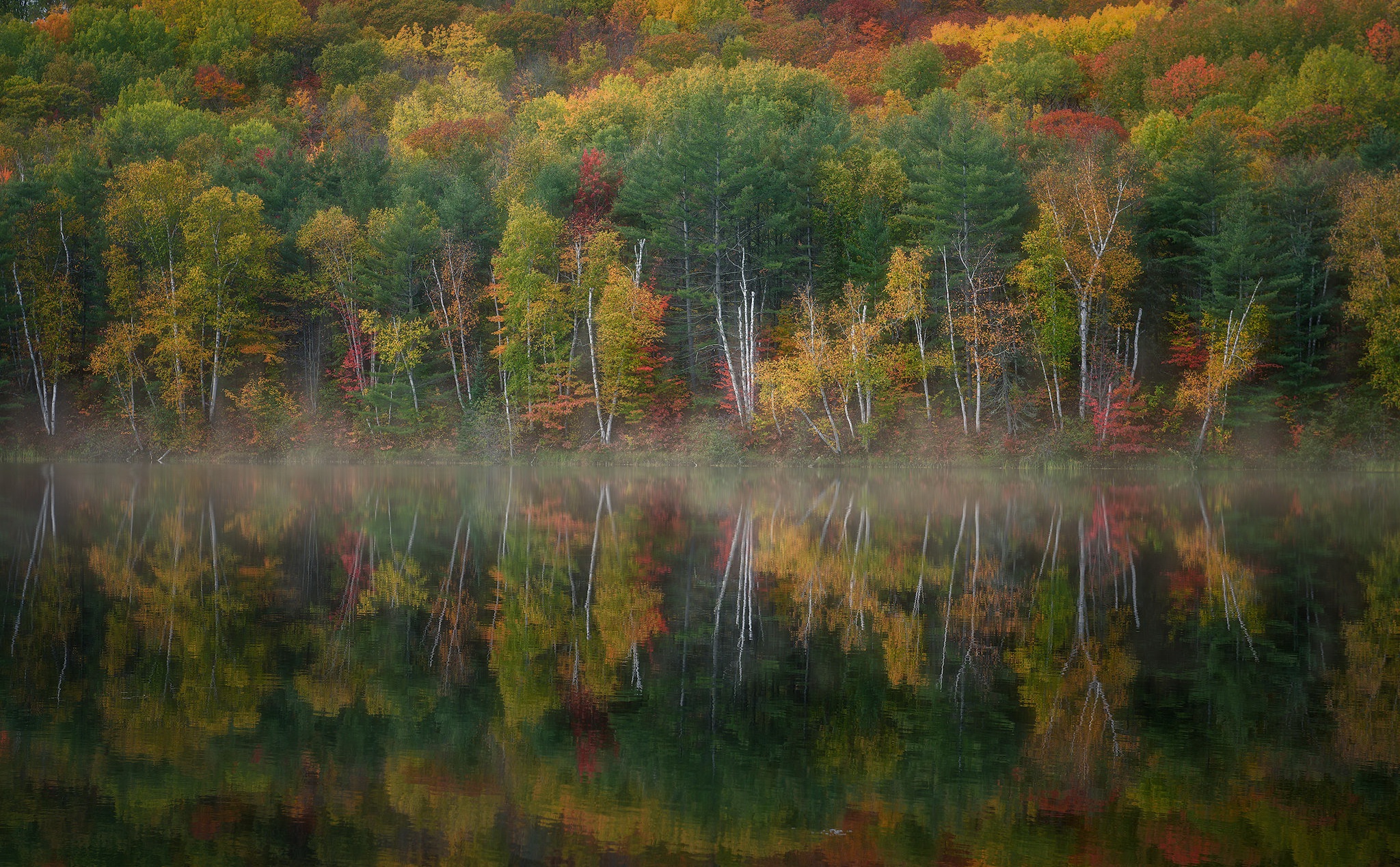 Обои озеро, лес, осень, lake, forest, autumn разрешение 2048x1268 Загрузить