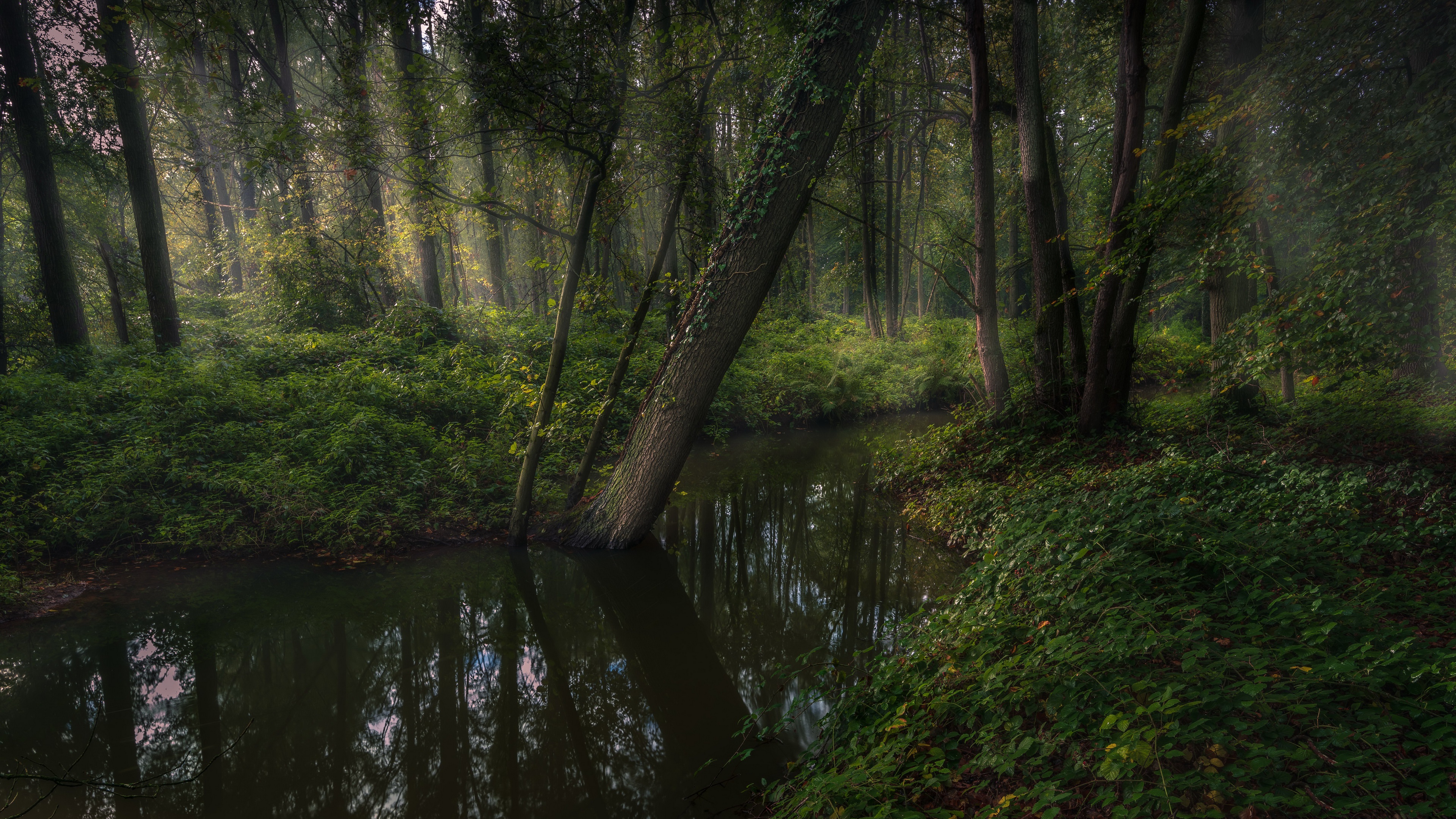 Обои река, природа, river, nature разрешение 3840x2160 Загрузить