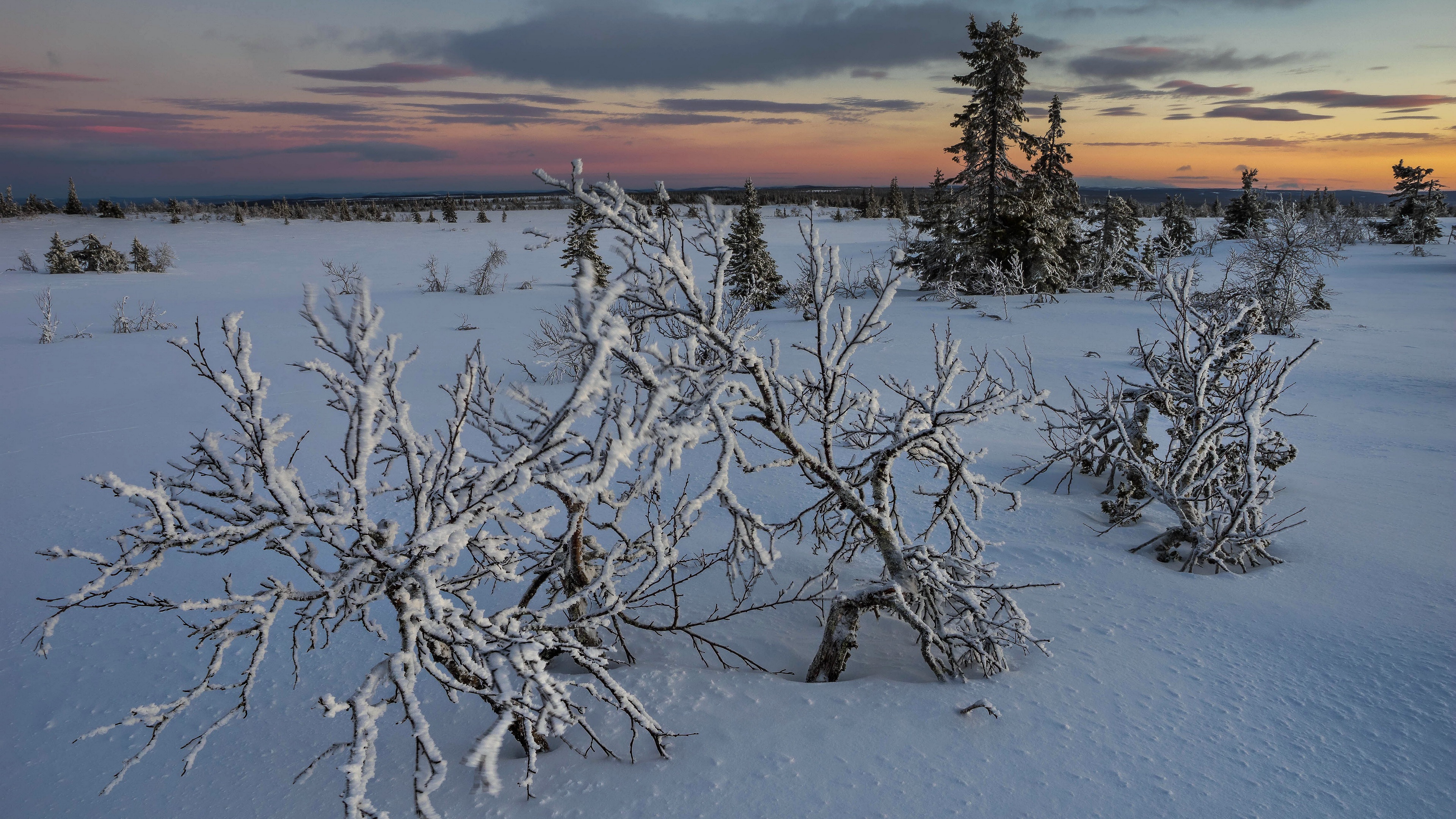 Обои снег, закат, snow, sunset разрешение 3840x2160 Загрузить