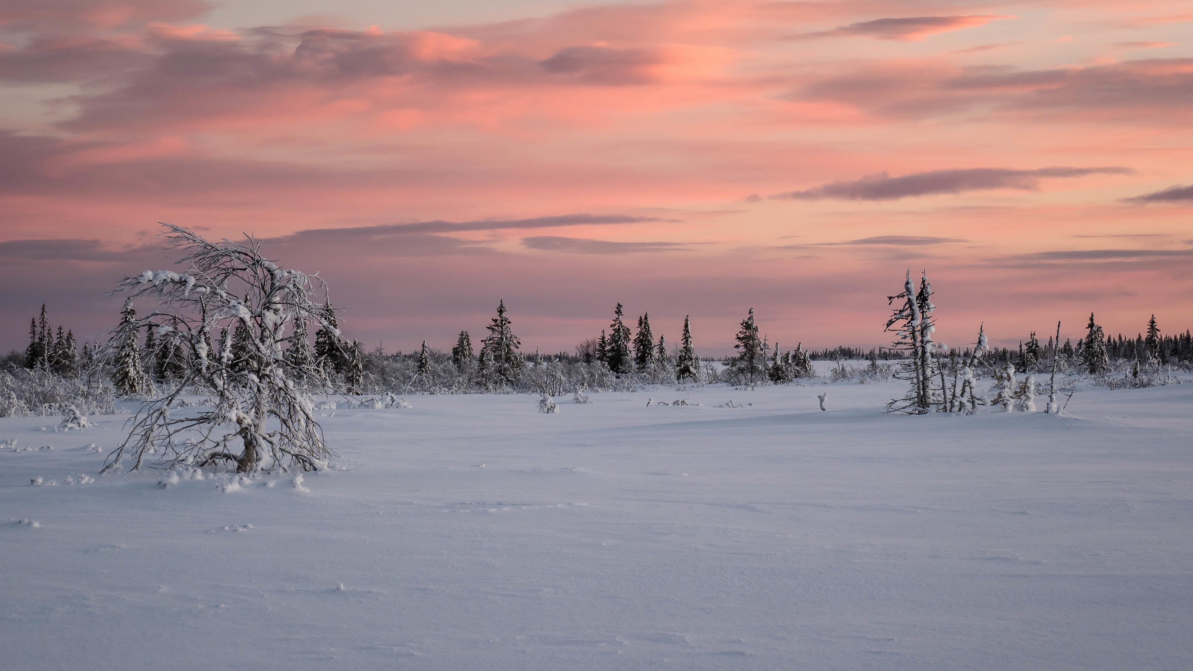 Обои снег, закат, snow, sunset разрешение 3840x2160 Загрузить