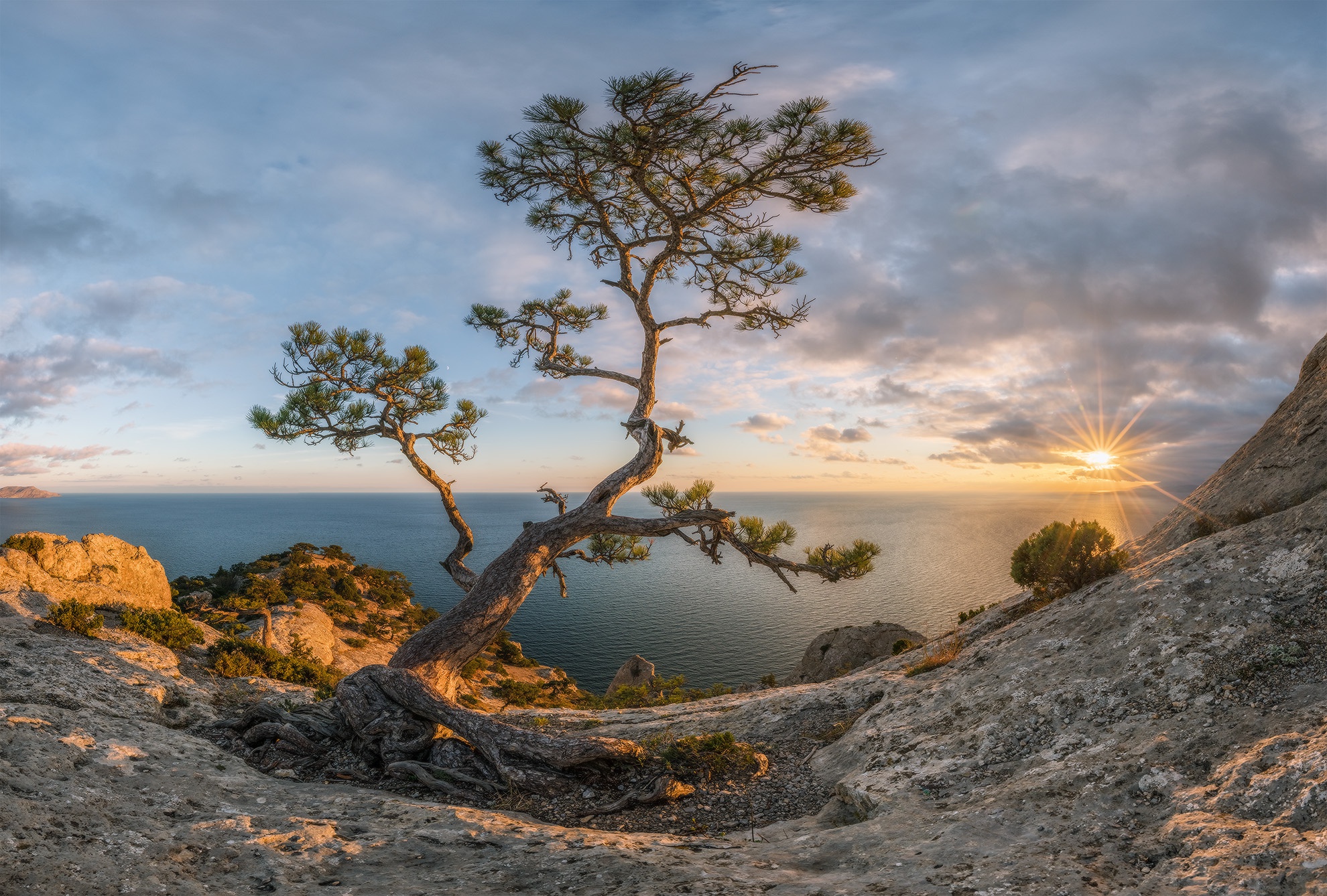 Обои солнце, крым, природа, закат, лучи, пейзаж, море, осень, сосна, the sun, crimea, nature, sunset, rays, landscape, sea, autumn, pine разрешение 1980x1338 Загрузить