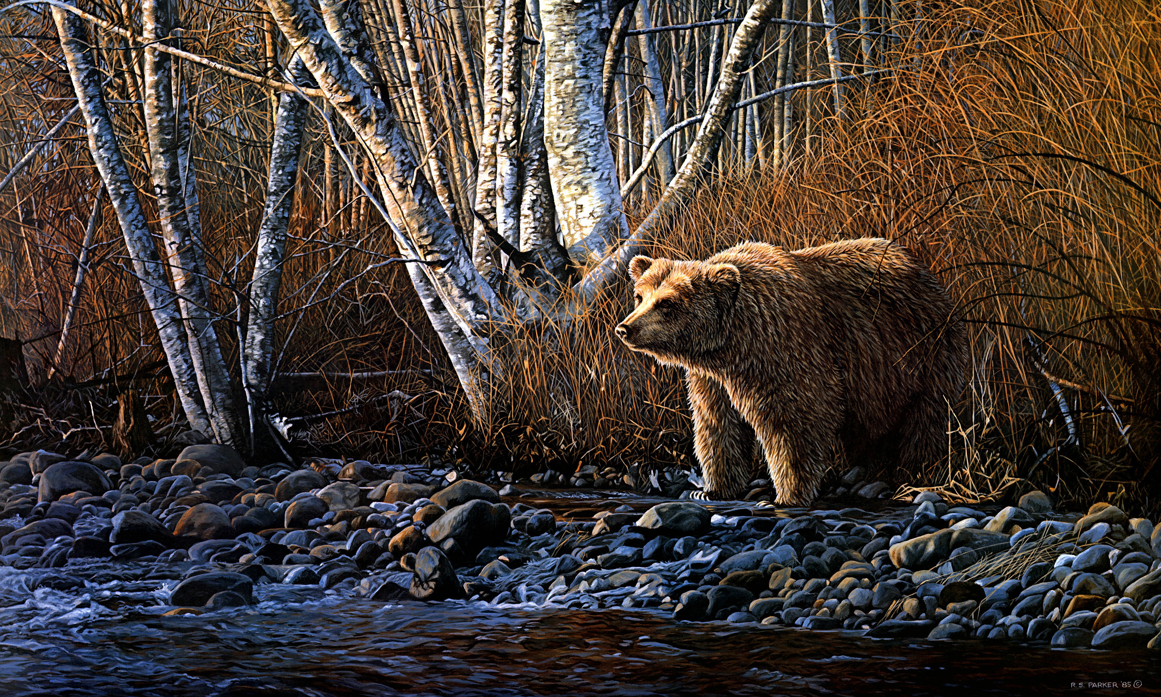 Обои арт, берег, осень, медведь, речка, art, shore, autumn, bear, river разрешение 3776x2268 Загрузить