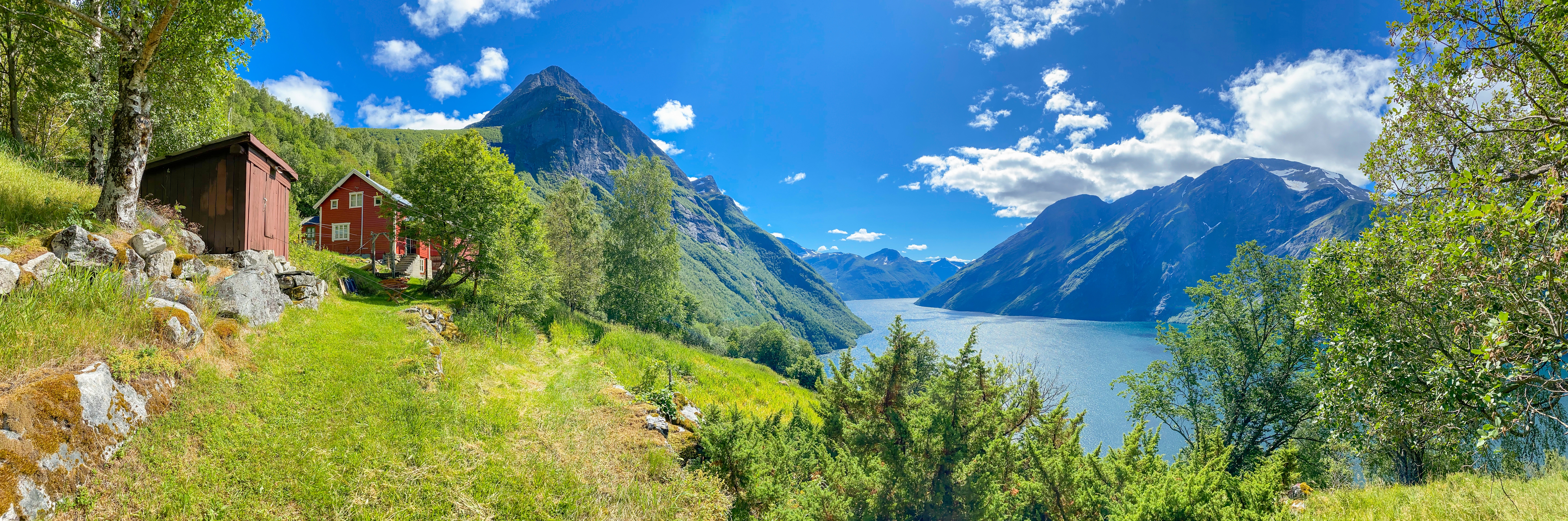 Скачать обои деревья, норддалсфьорд, norddalsfjorden, горы, eidsdal  разрешение 2560x1440 #278485