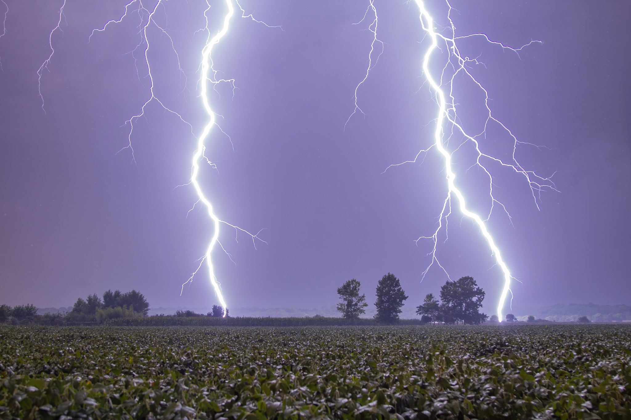 Обои деревья, молния, поле, гроза, trees, lightning, field, the storm разрешение 2048x1365 Загрузить