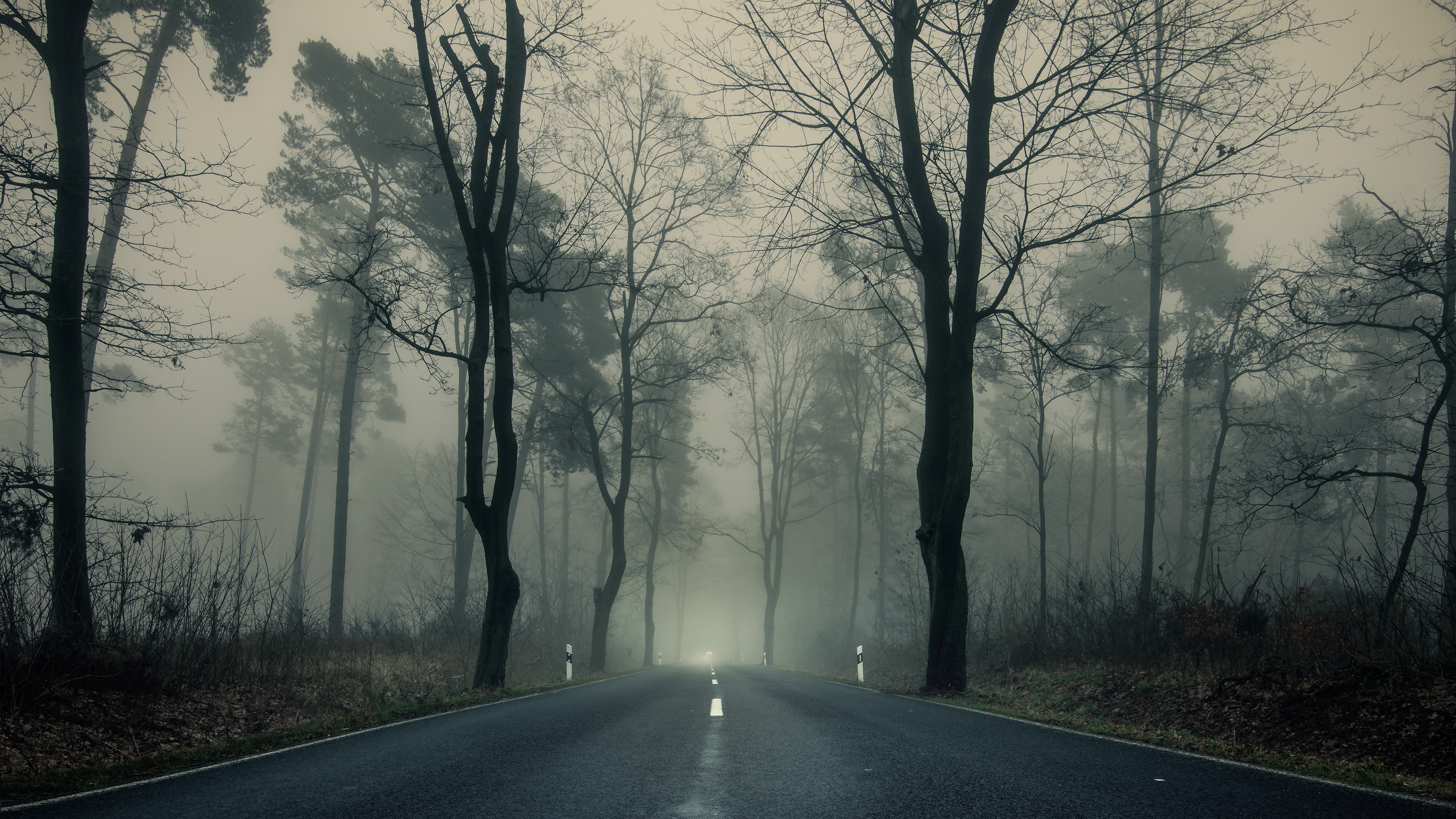 Обои дорога, деревья, парк, туман, ветки, осень, пасмурно, шоссе, road, trees, park, fog, branches, autumn, overcast, highway разрешение 3840x2160 Загрузить