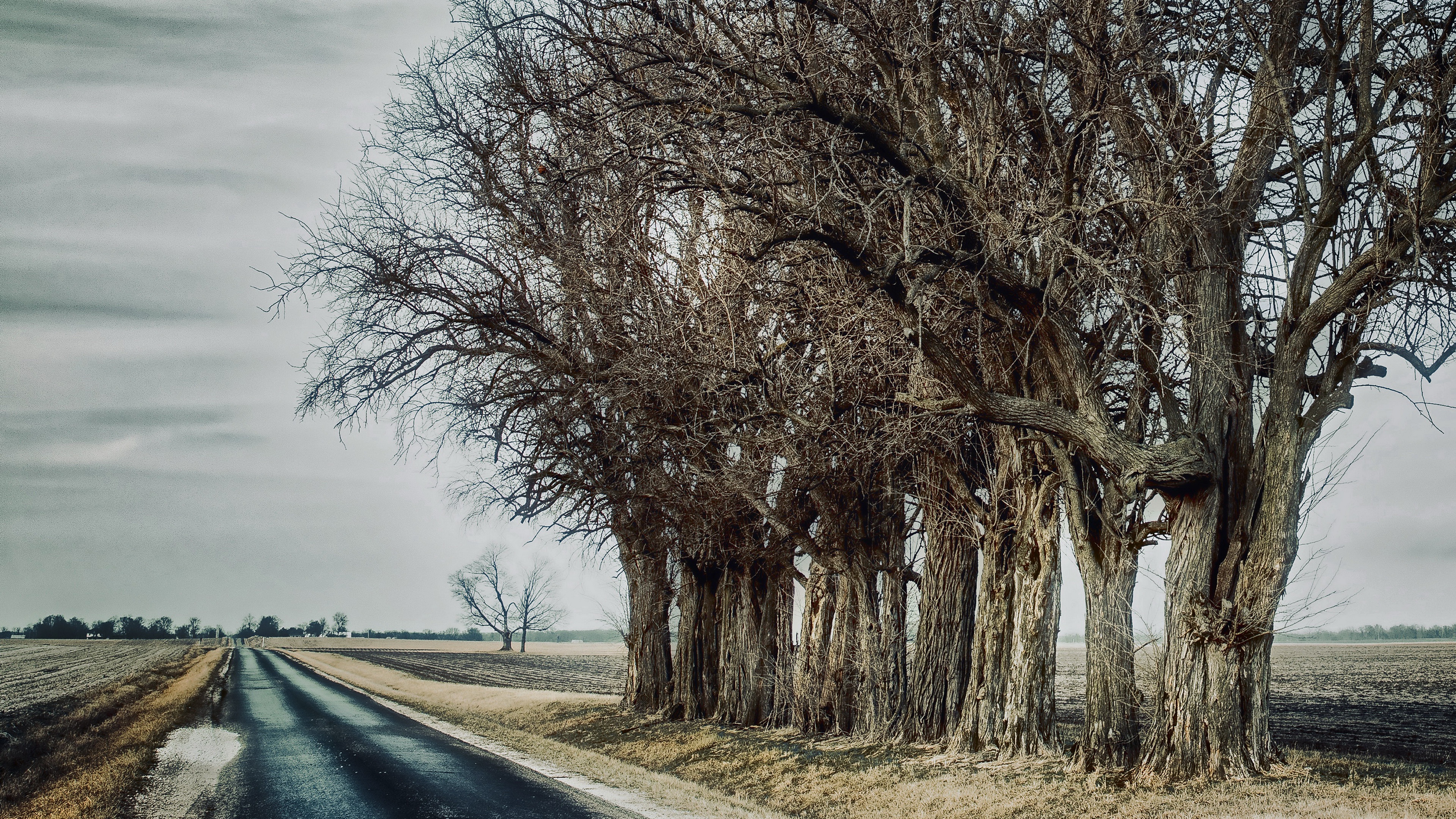 Обои дорога, деревья, road, trees разрешение 3840x2160 Загрузить