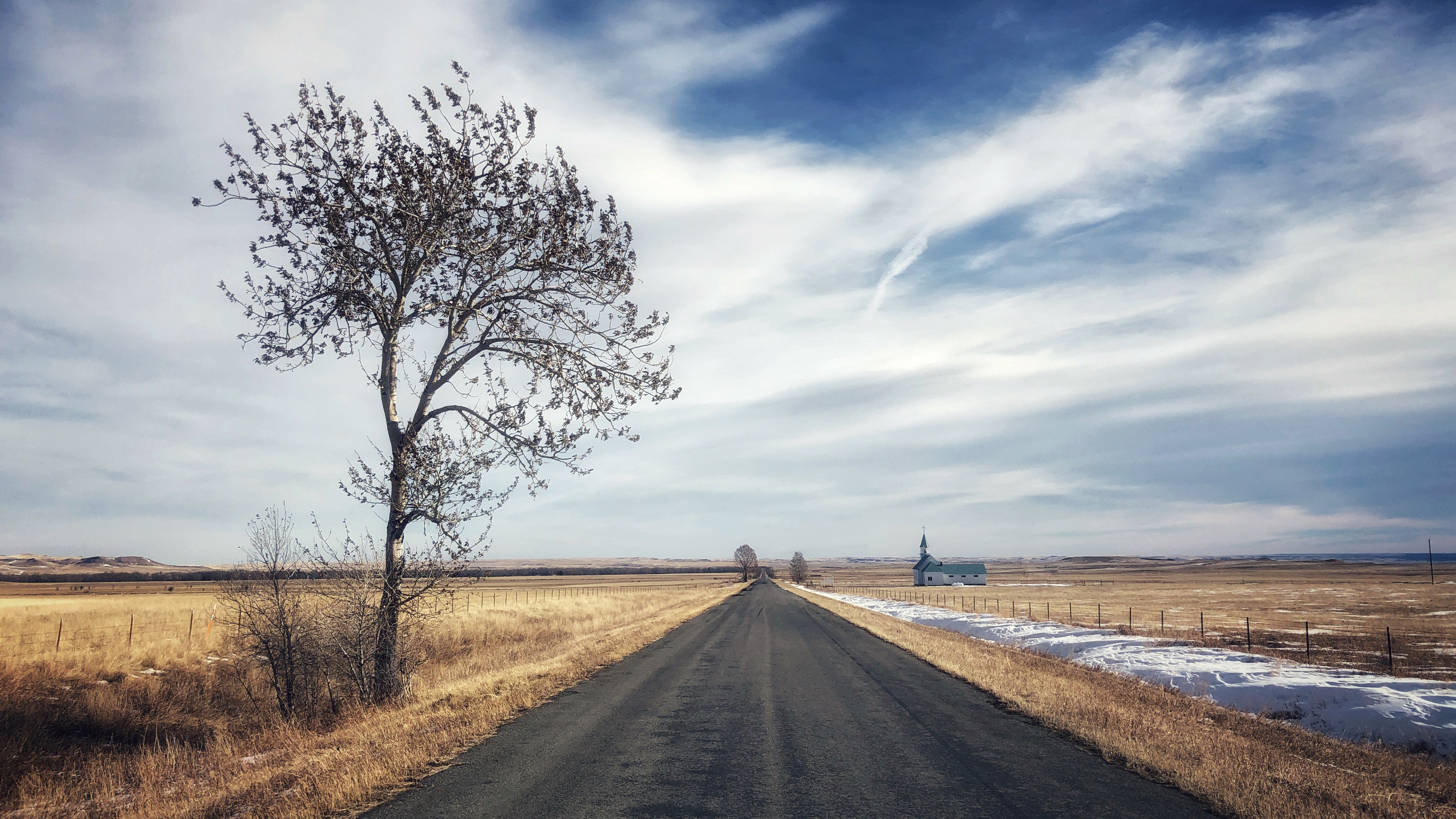 Обои дорога, дерево, поле, road, tree, field разрешение 3840x2160 Загрузить