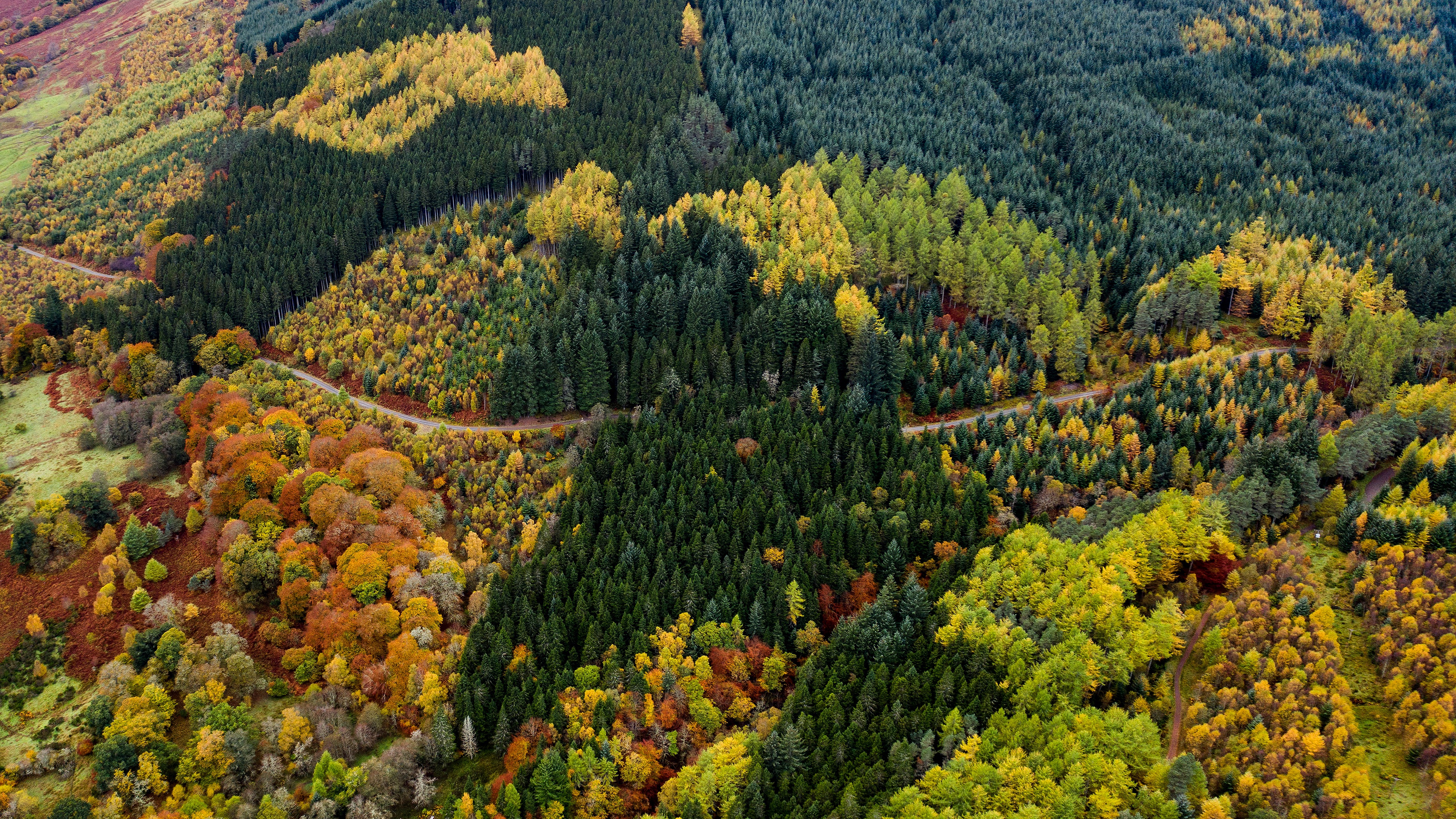 Обои дорога, лес, вид, осень, красота, краски осени, вид с высоты, road, forest, view, autumn, beauty, the colors of autumn, the разрешение 3840x2160 Загрузить