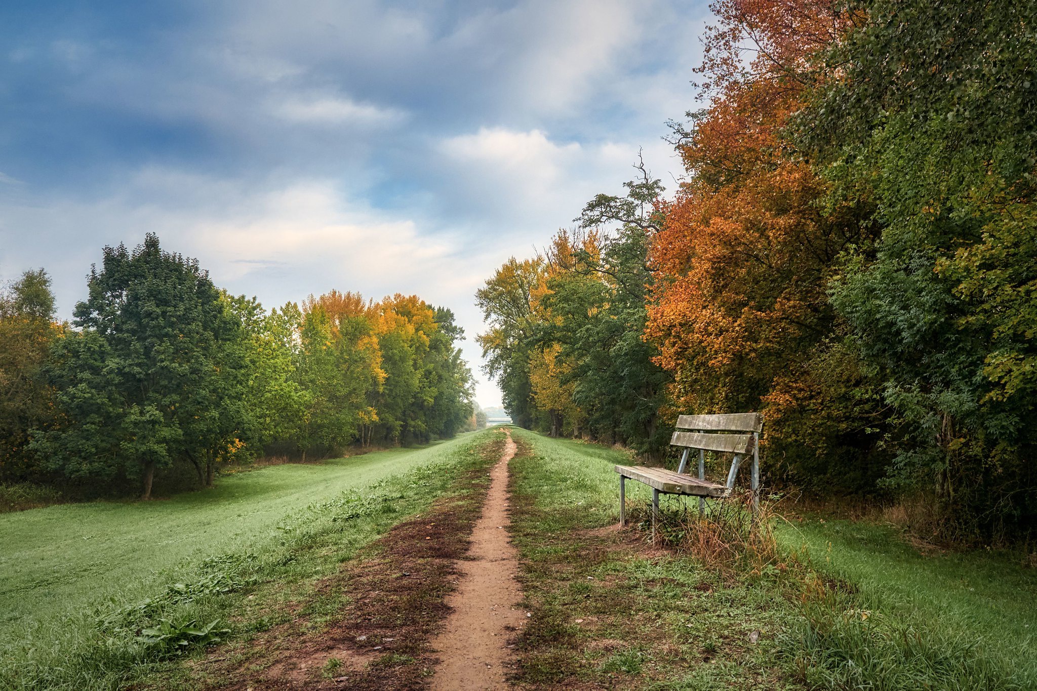 Обои дорога, осень, скамья, road, autumn, bench разрешение 2048x1365 Загрузить