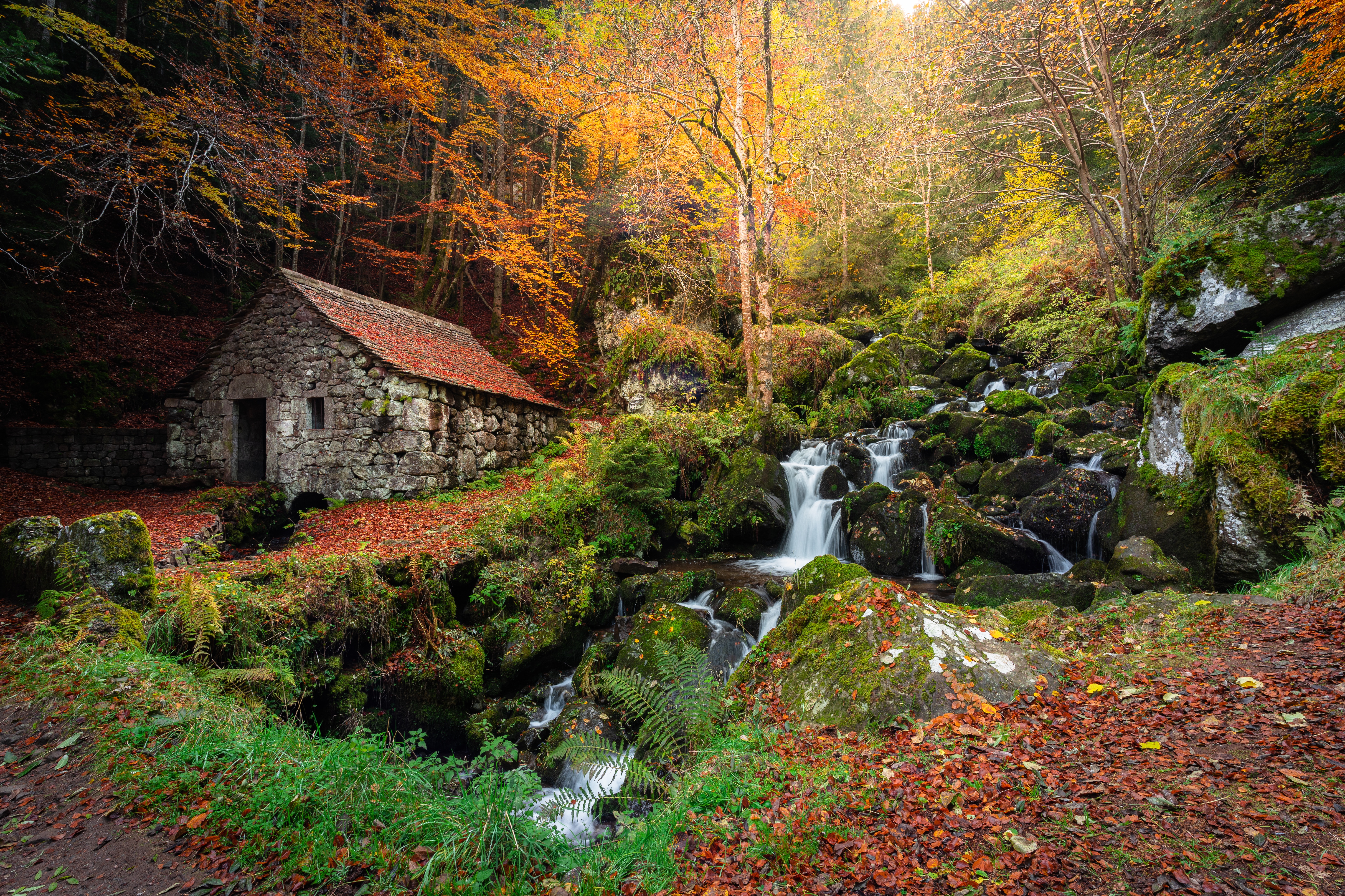 Обои лес, склон, водопад, осень, домик, forest, slope, waterfall, autumn, house разрешение 5910x3940 Загрузить