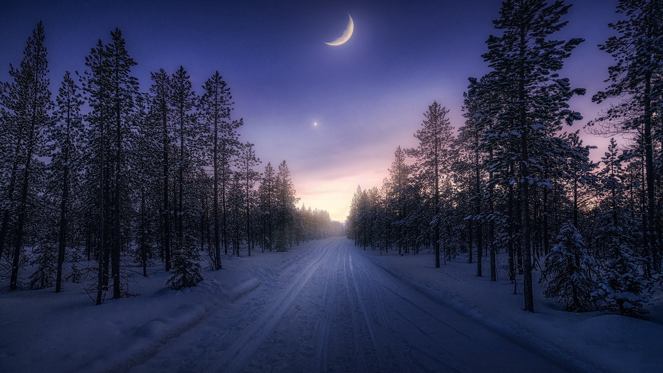 Обои небо, дорога, деревья, снег, лес, зима, месяц, the sky, road, trees, snow, forest, winter, a month разрешение 2200x1238 Загрузить