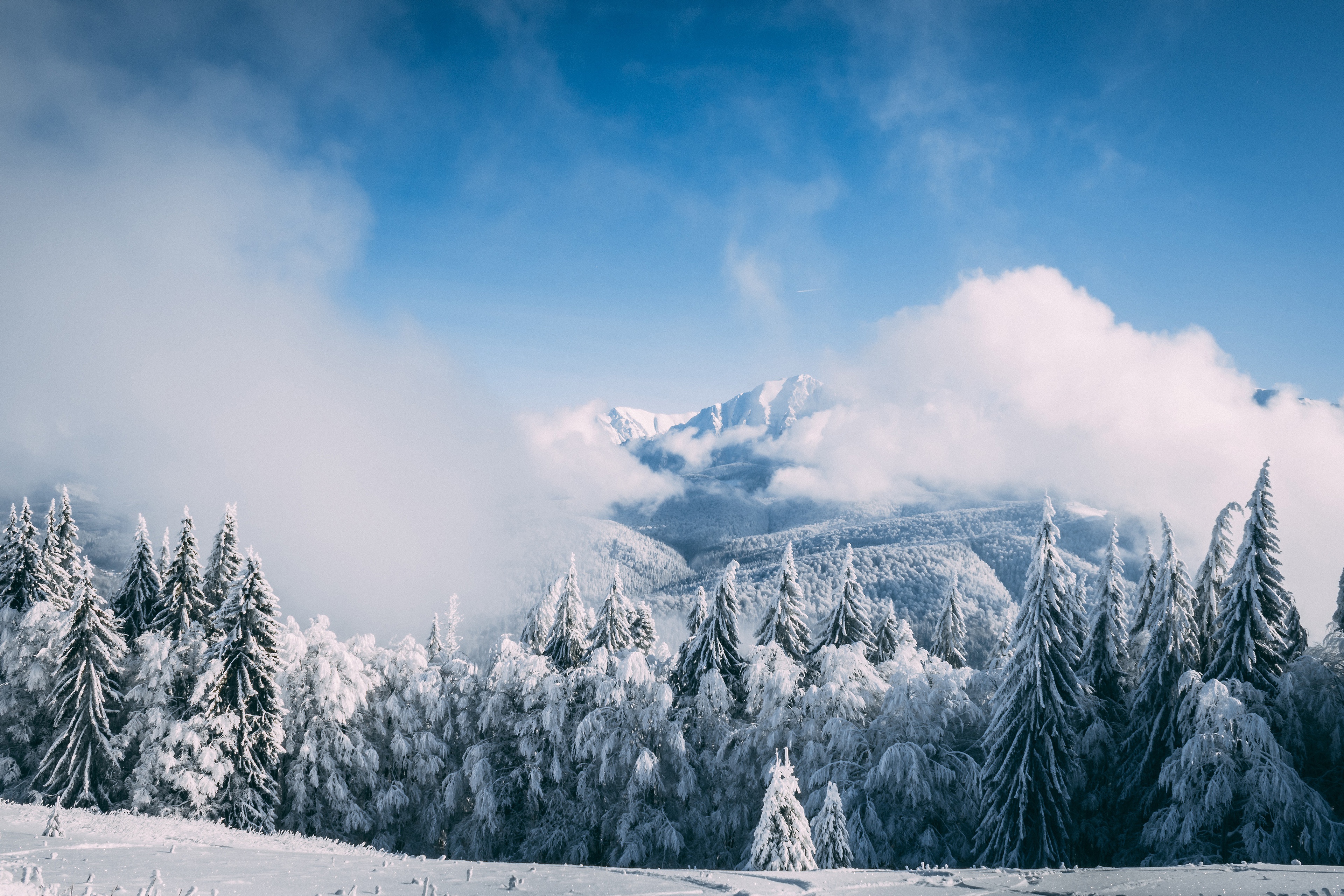 Frost cloud. Горы снег. Зима в России. Зима 4к. Горы лес небо снег.