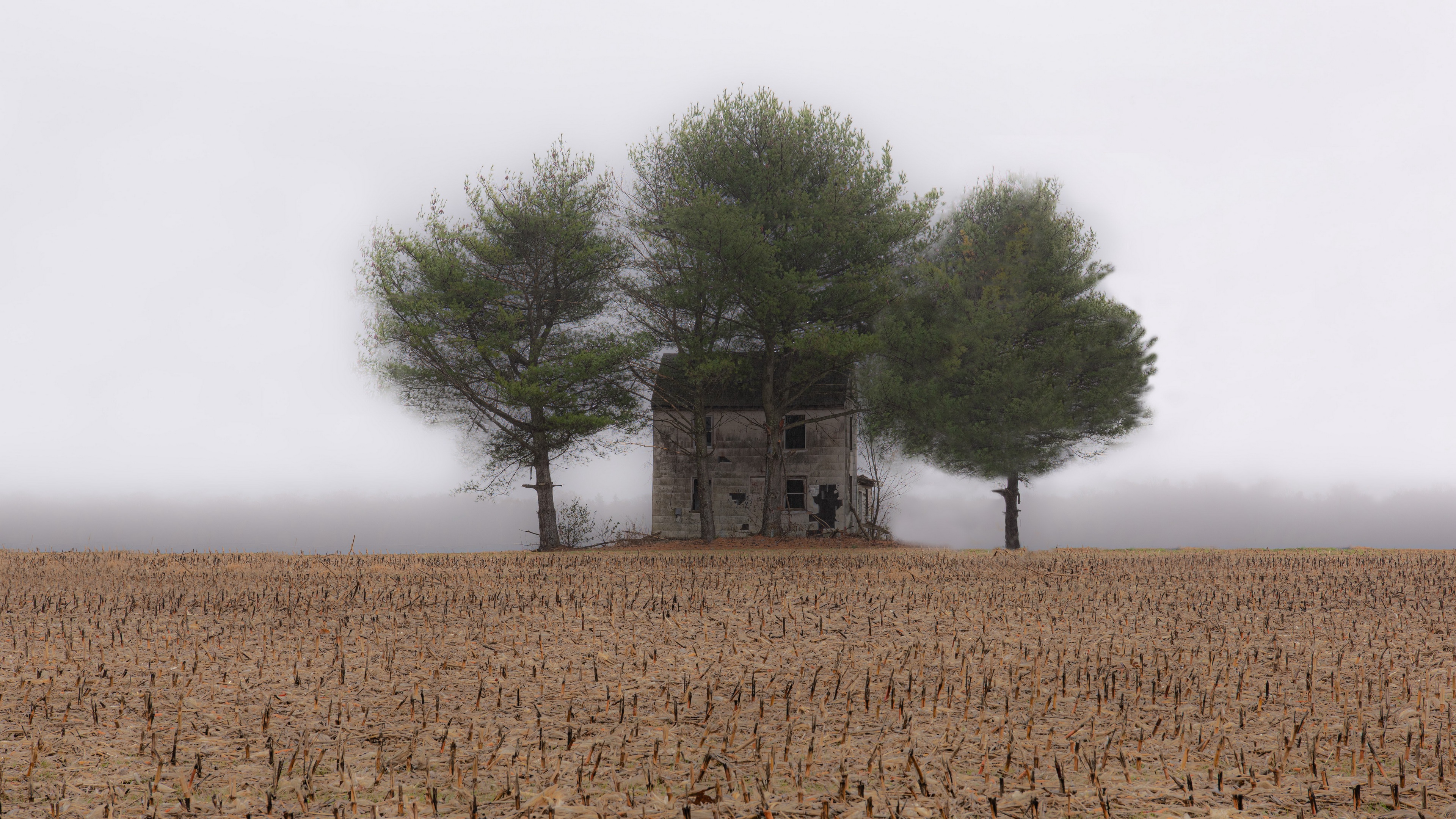 Обои туман, поле, дом, fog, field, house разрешение 3840x2160 Загрузить