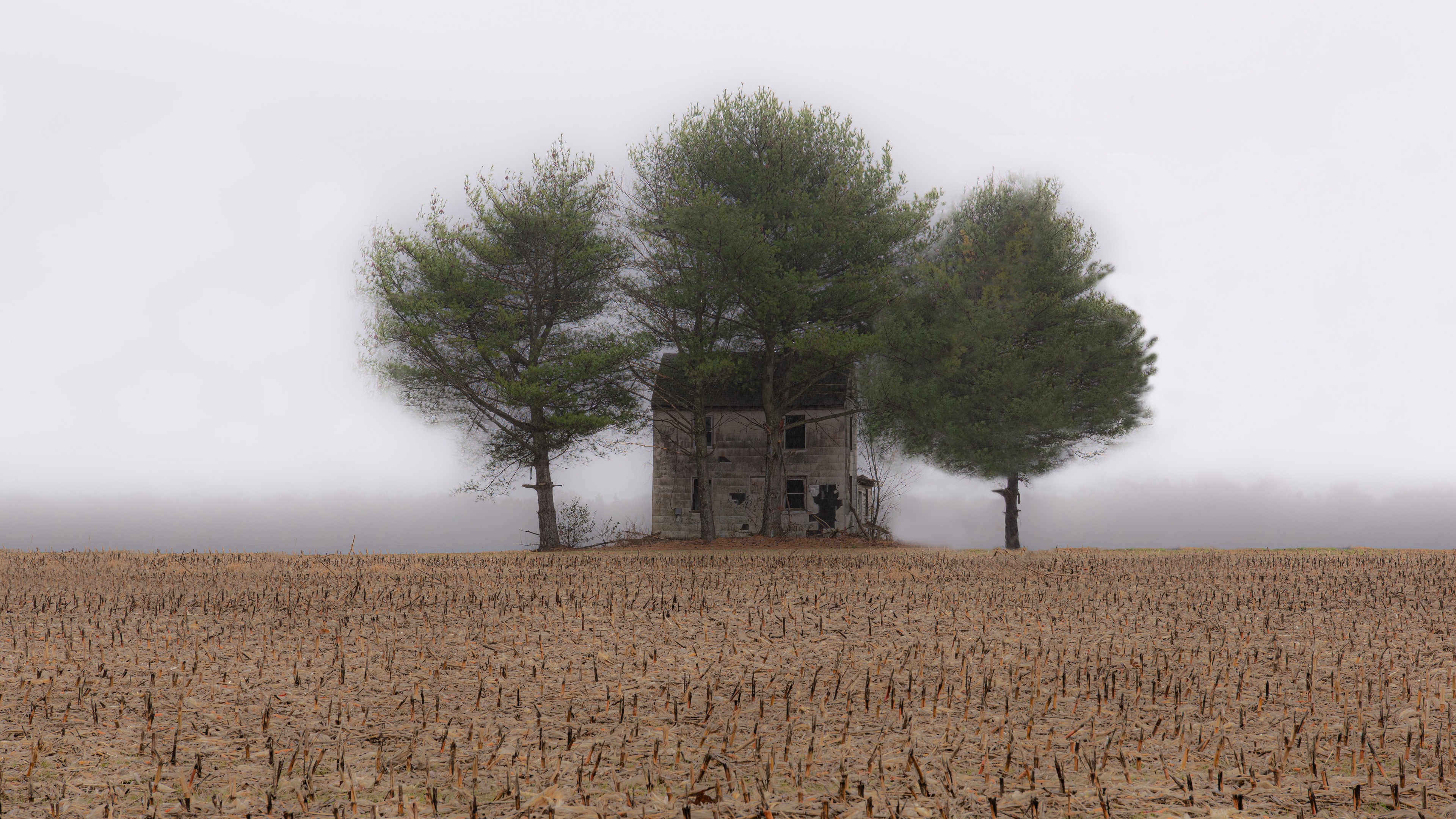 Скачать обои туман, поле, дом, fog, field разрешение 1920x1080 #278264